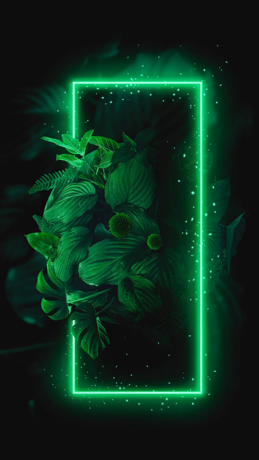 1080x1920 Green Frame Wallpaper