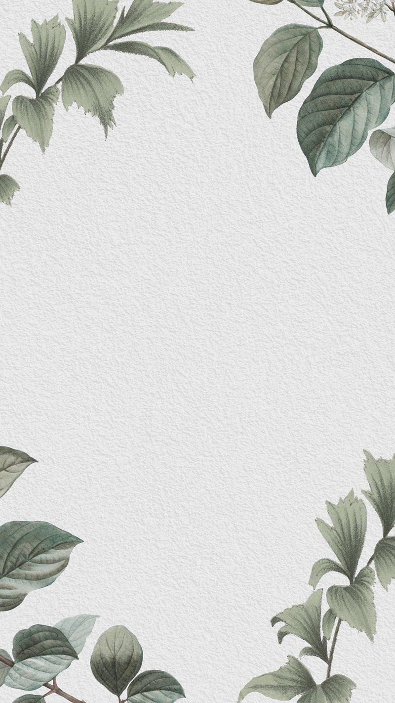 800x1422 Leaf border green mobile wallpaper