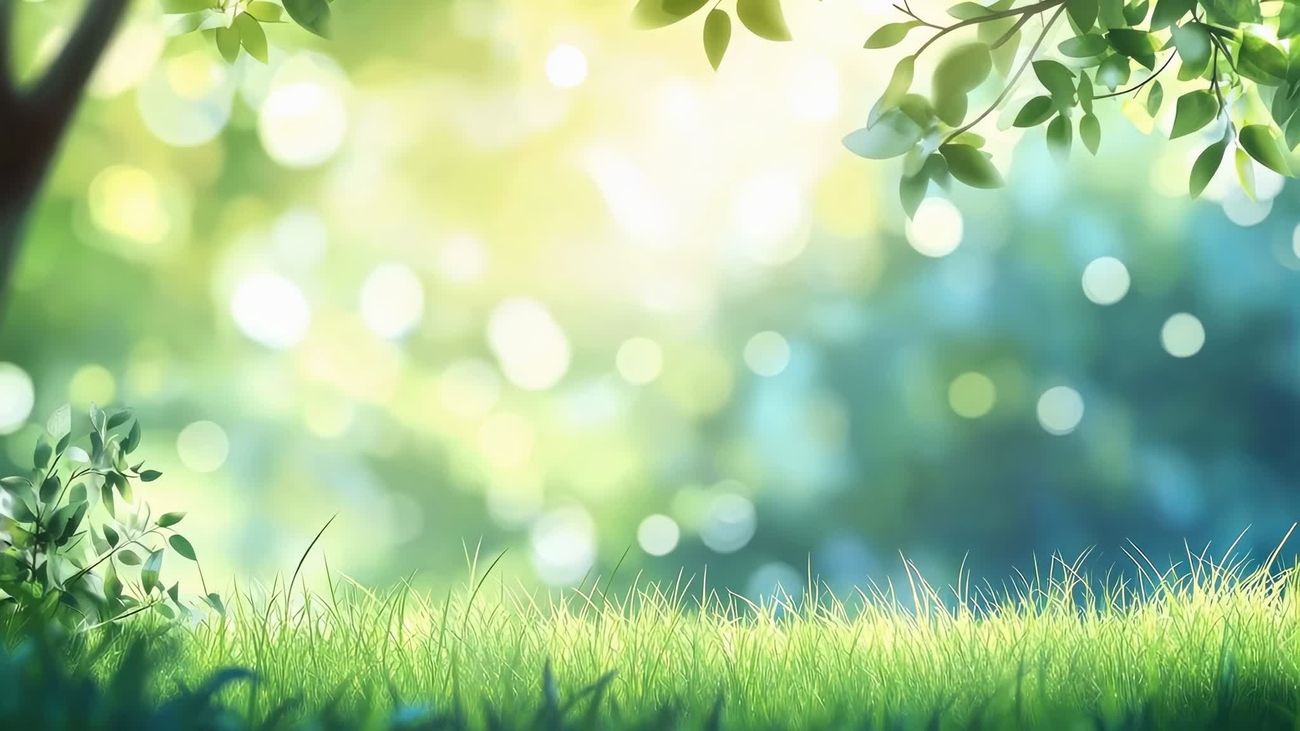 1300x731 Serene, Low Angle Video Frame Sunlit