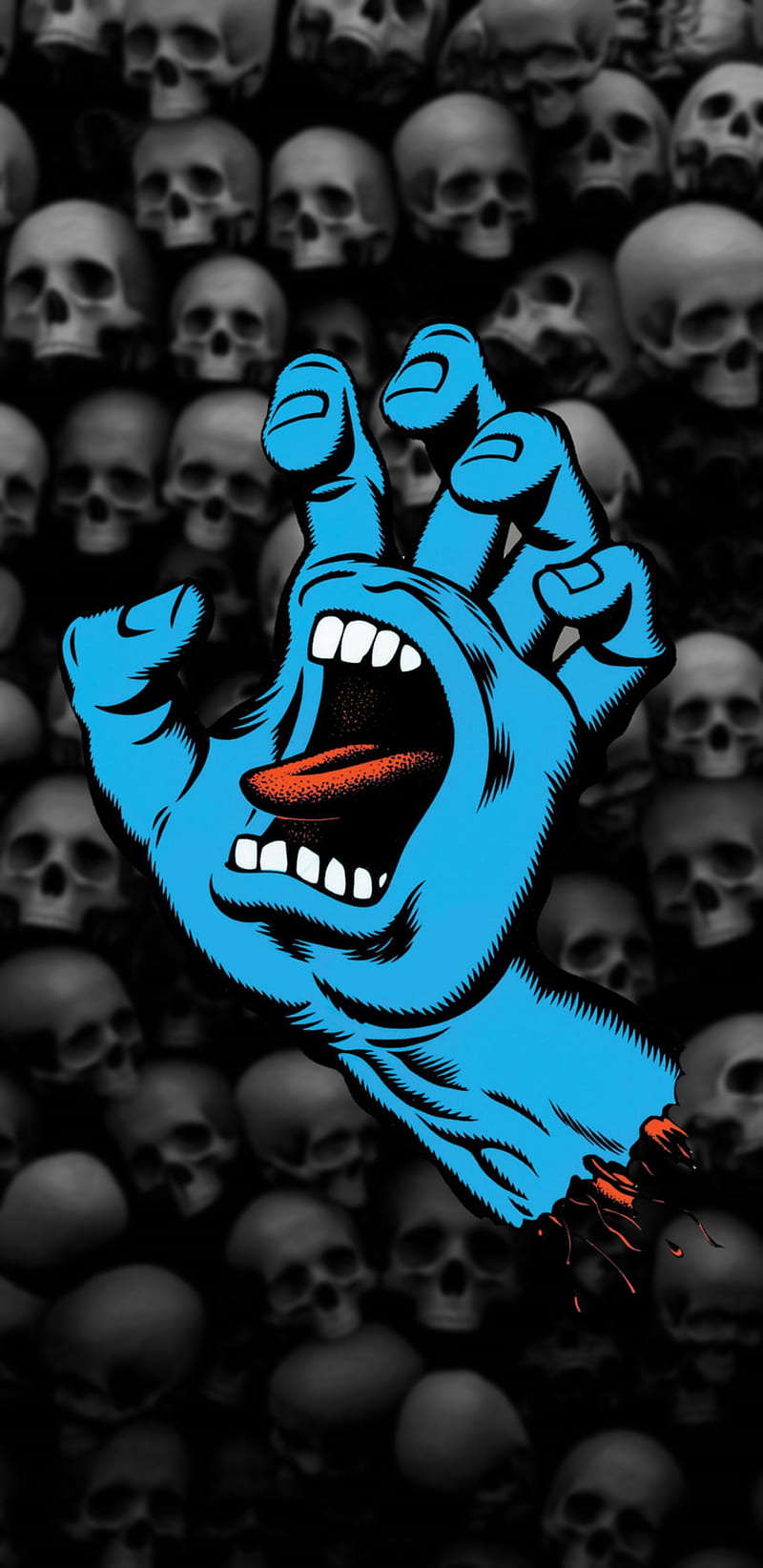 800x1644 Santa Cruz Skulls, santa cruz, skateboard, HD phone wallpaper