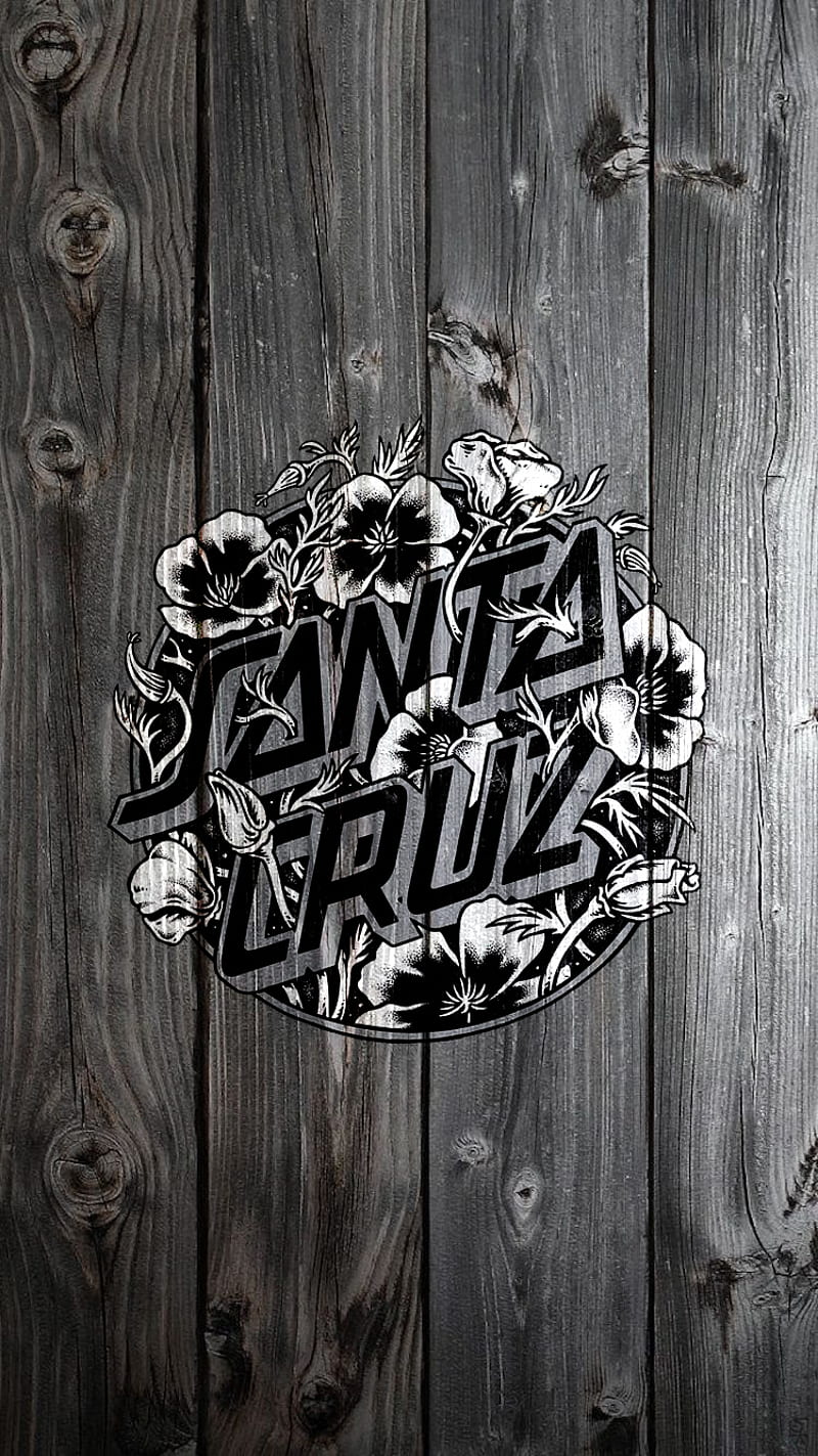 800x1423 Santa Cruz, skateboarding, HD phone wallpaper