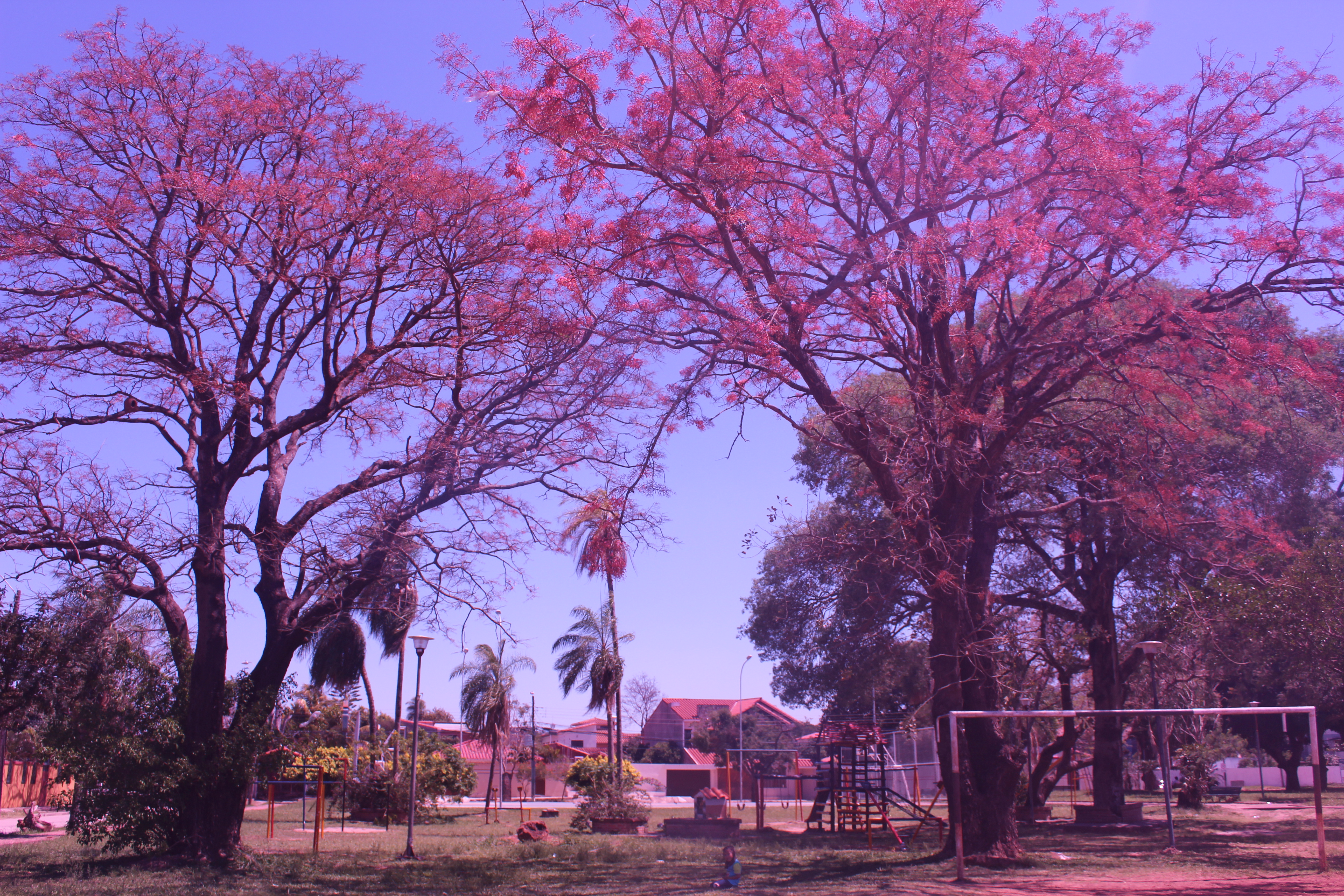 5184x3456 Paisaje Santa Cruz de la