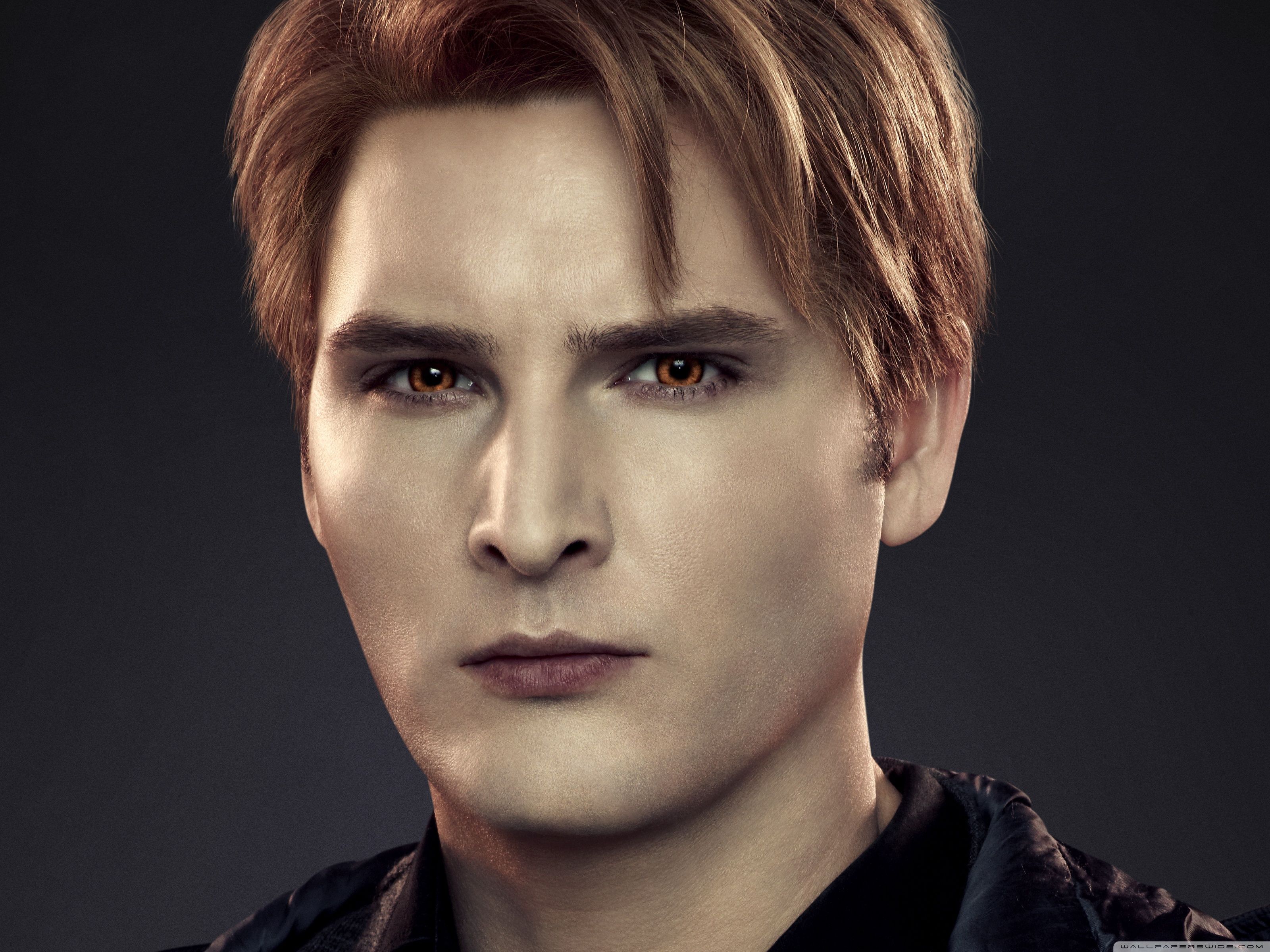 3200x2400 The Twilight Saga Breaking Dawn Part 2 Facinelli as Carlisle Cullen 4K UHD Wallpaper for UltraHD Desktop and TV : Widescreen and UltraWide Display : Smartphone and Tablet Devices