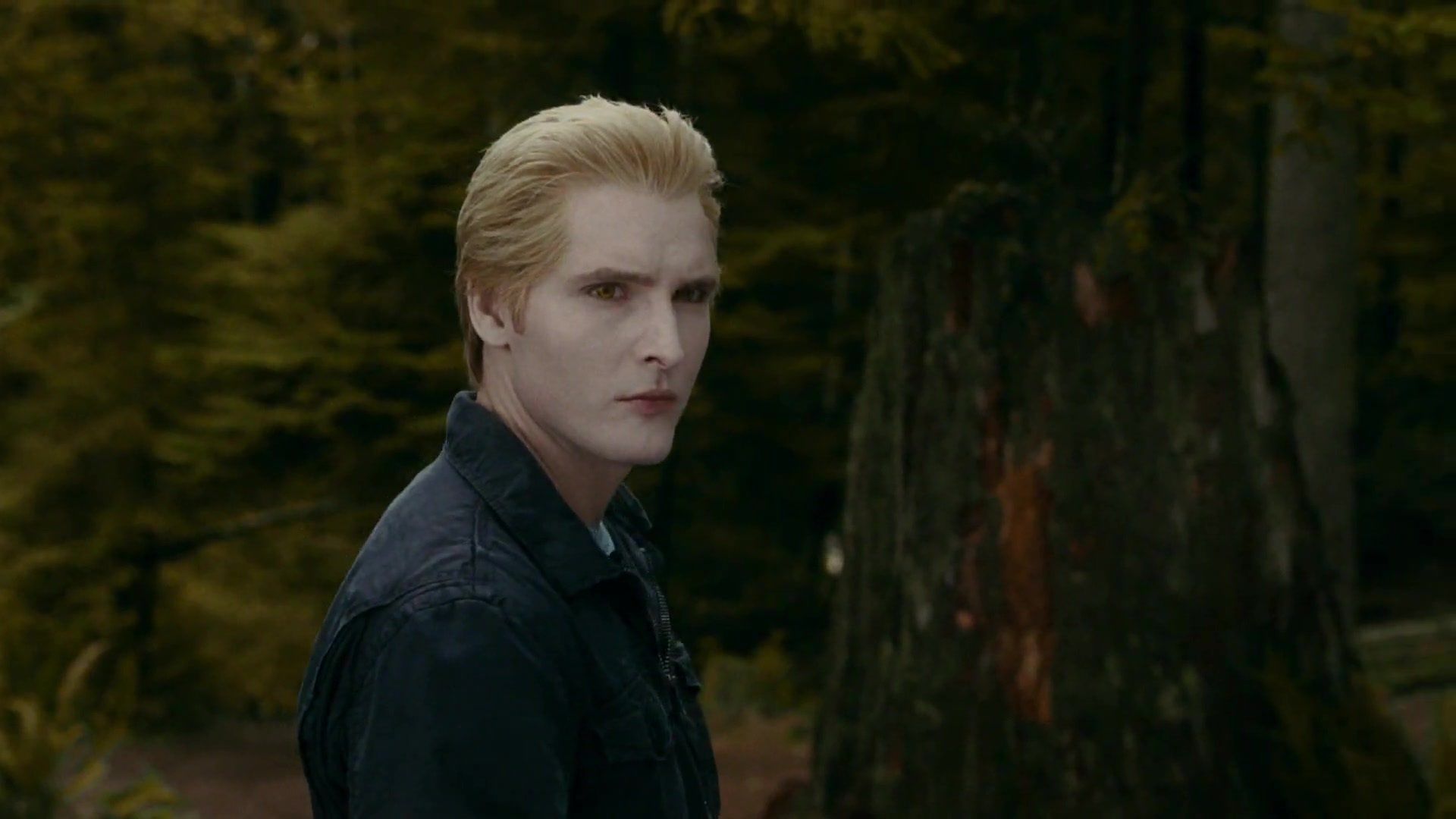 1920x1080 Carlisle Cullen Movie Quotes. QuotesGram