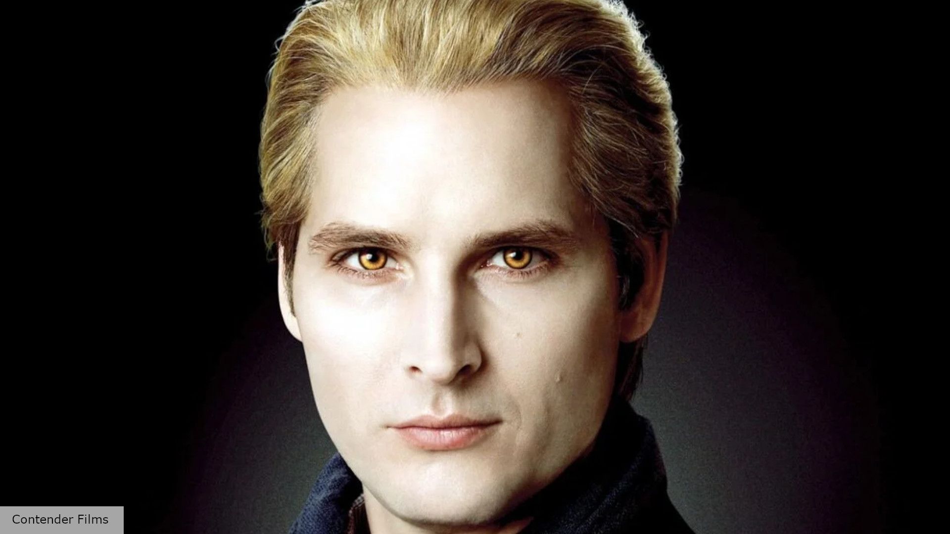 1920x1080 Twilight cast and characters the stars of the vampire movies Digital Fix