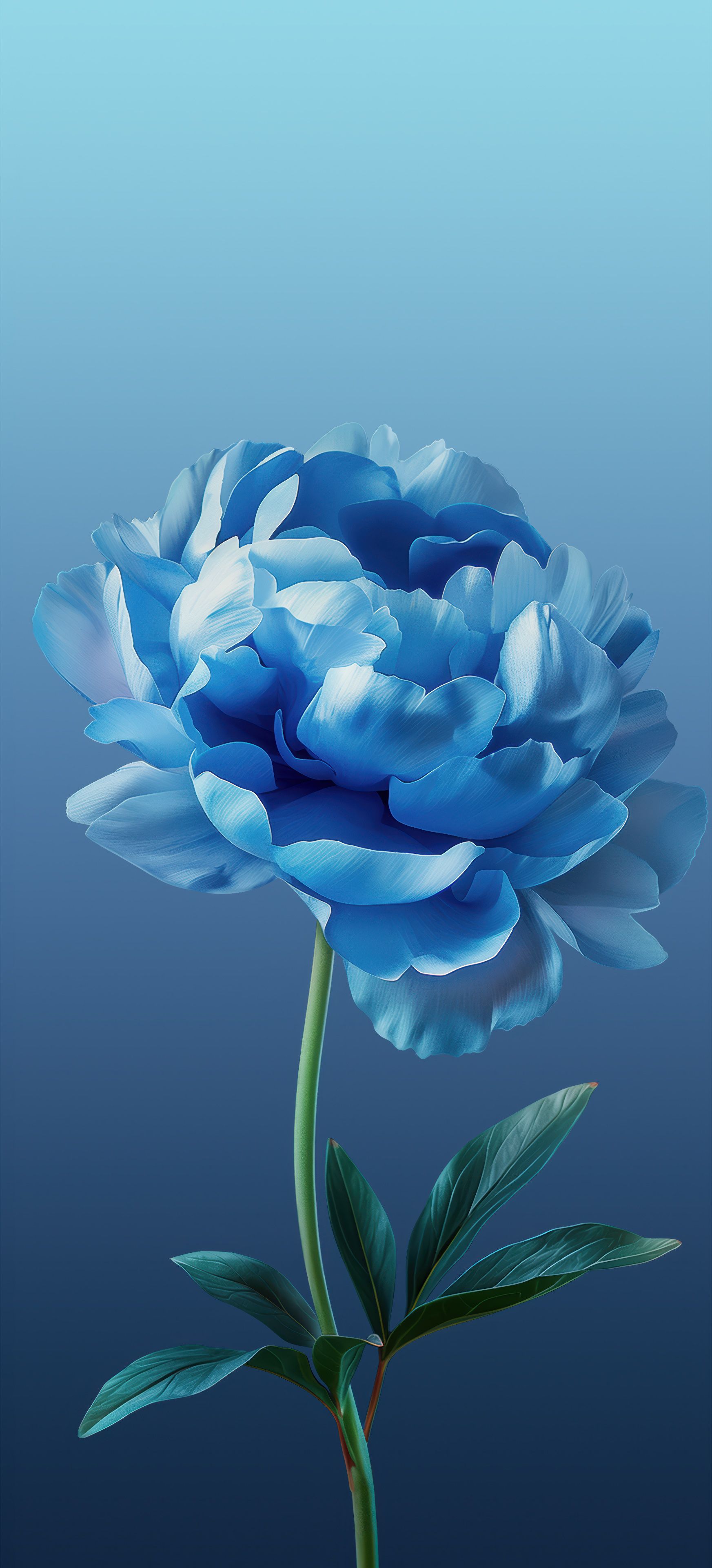 1745x3840 ColorOS 15 Stock WallpaperK Wallpaper