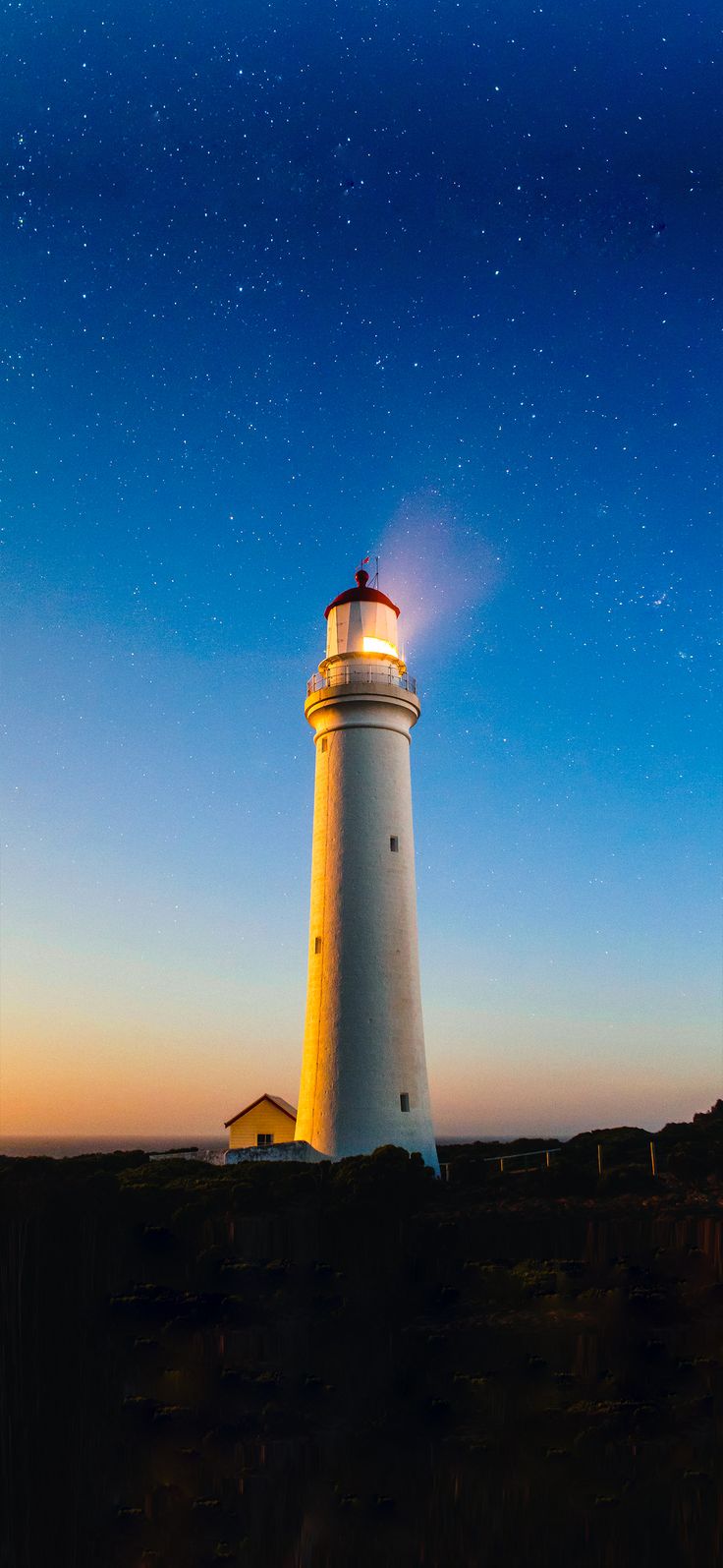 736x1595 Faro