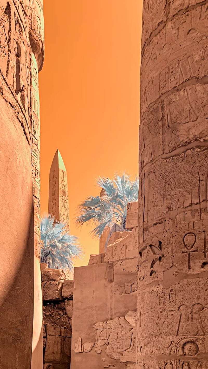 800x1422 HD luxor wallpaper