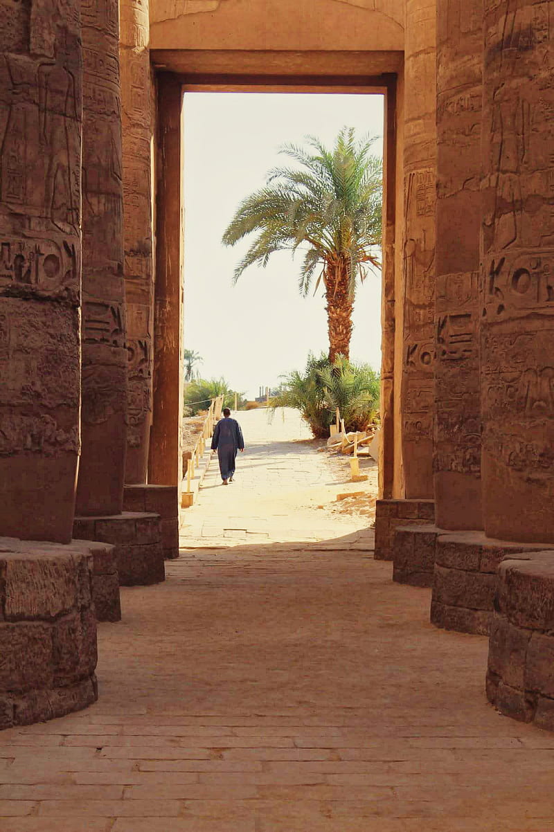 800x1202 Luxor, egypt, pharaonic, pharo, temple, HD phone wallpaper
