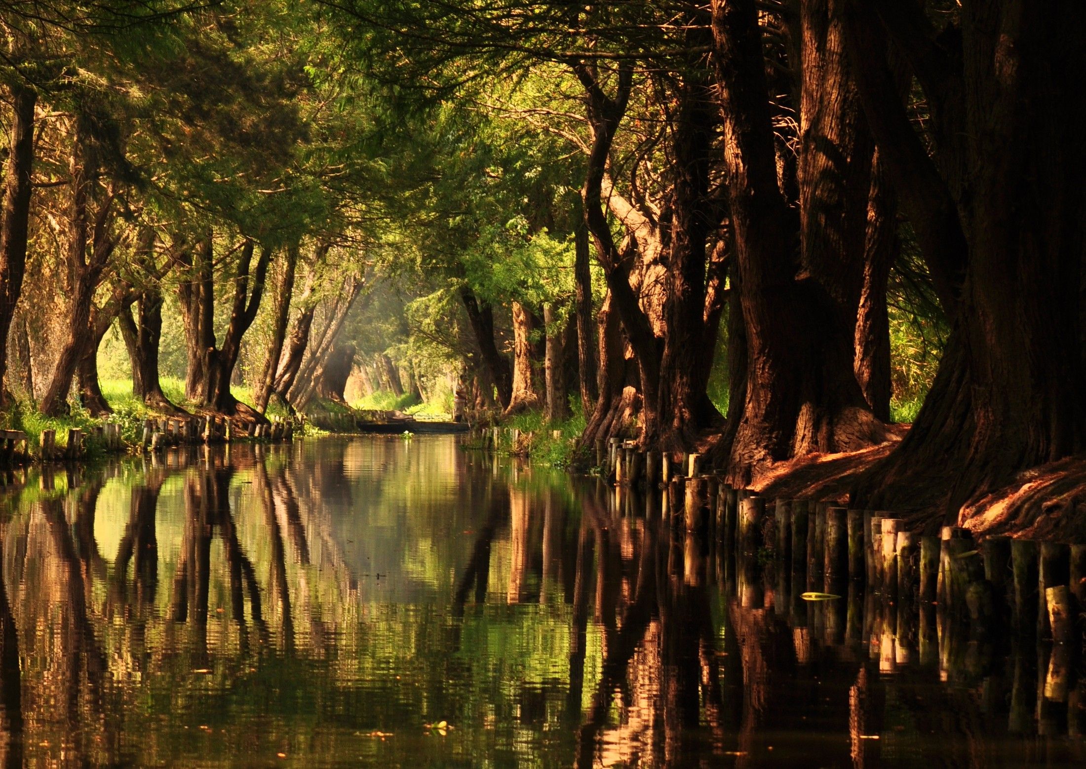 2200x1558 Xochimilco Canals's Venice: Float through history on vibrant waters