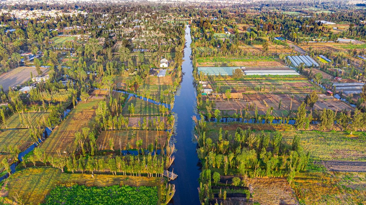 1280x718 Free Trajinera & Xochimilco Image
