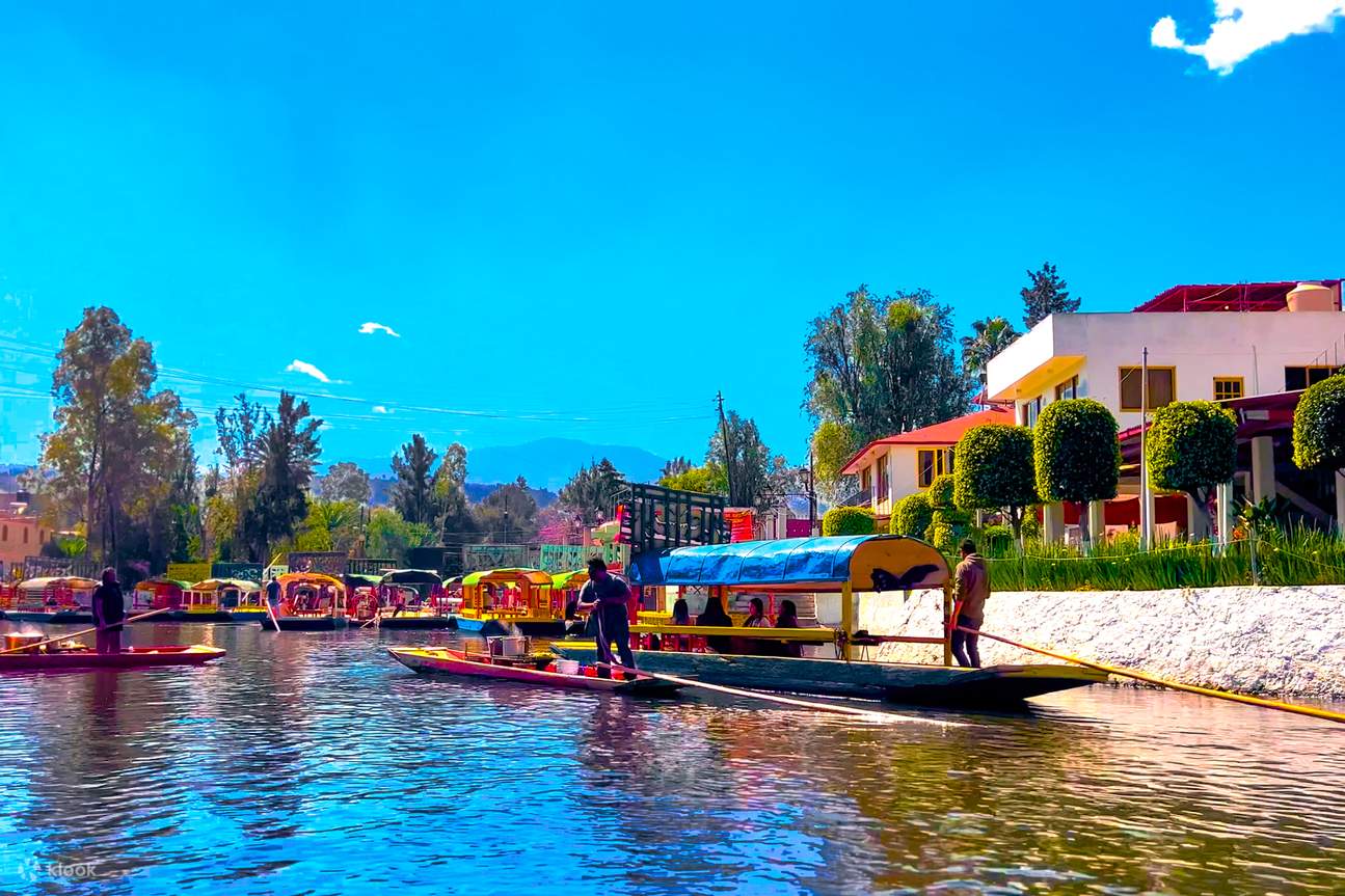 1295x863 Xochimilco Trajinera Party with Drinks, Music & Taco Dinner