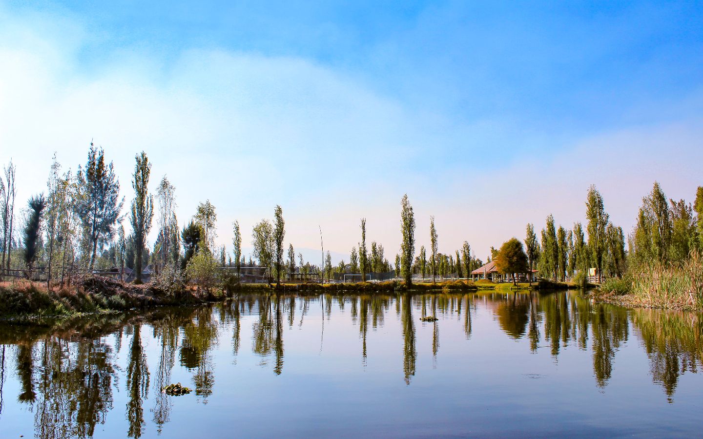 1440x900 An Organization Takes Steps to Revive Ancient Agricultural Systems in Mexico