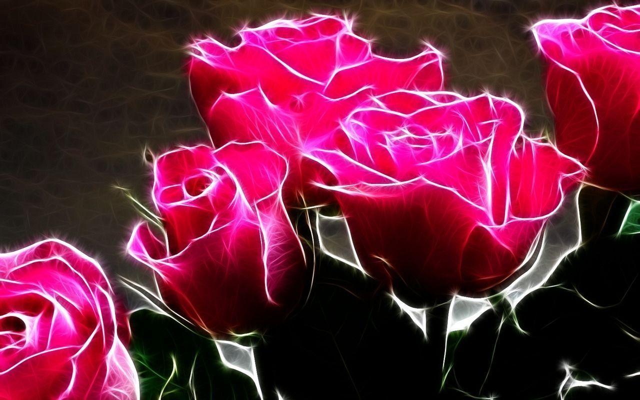 1280x800 Hot Pink Roses
