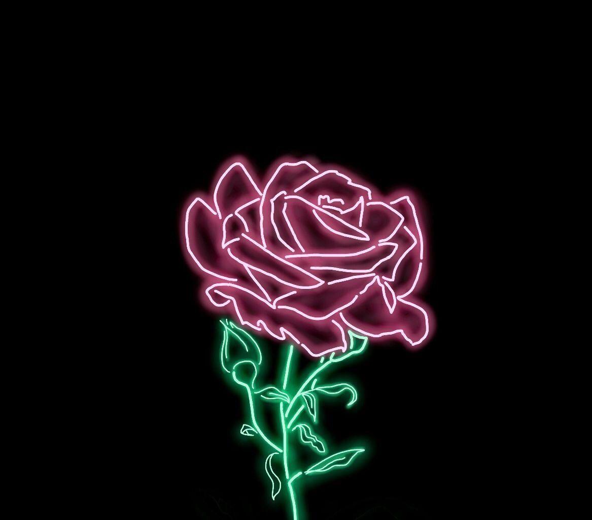 Cool Neon Rose Wallpapers - Top Free Cool Neon Rose Backgrounds