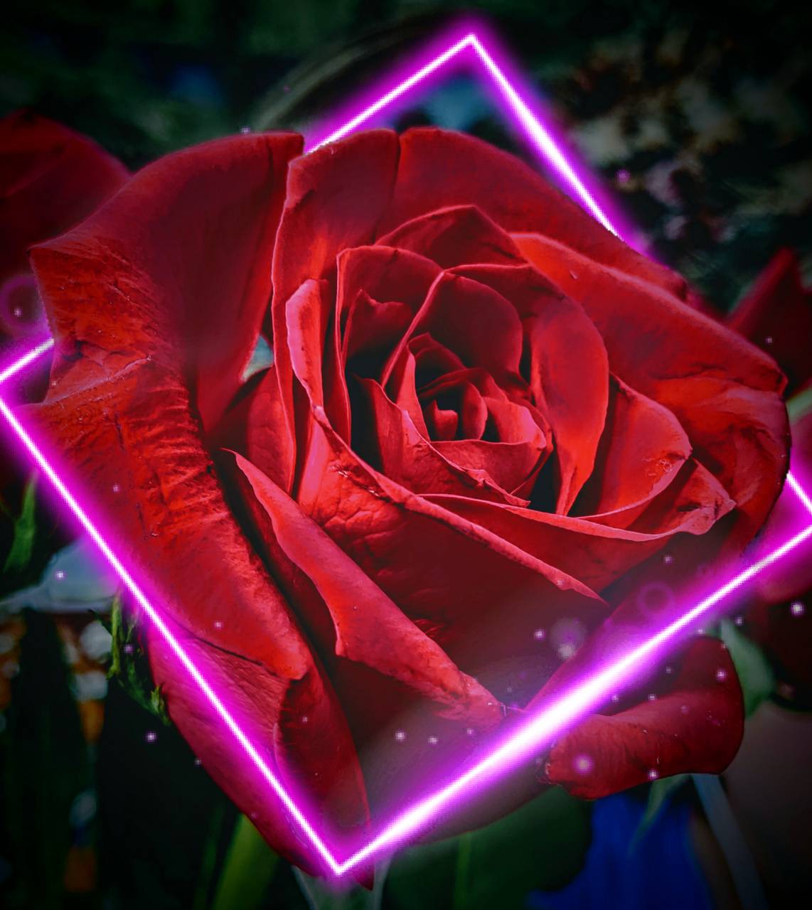 Cool Neon Rose Wallpapers - Top Free Cool Neon Rose Backgrounds