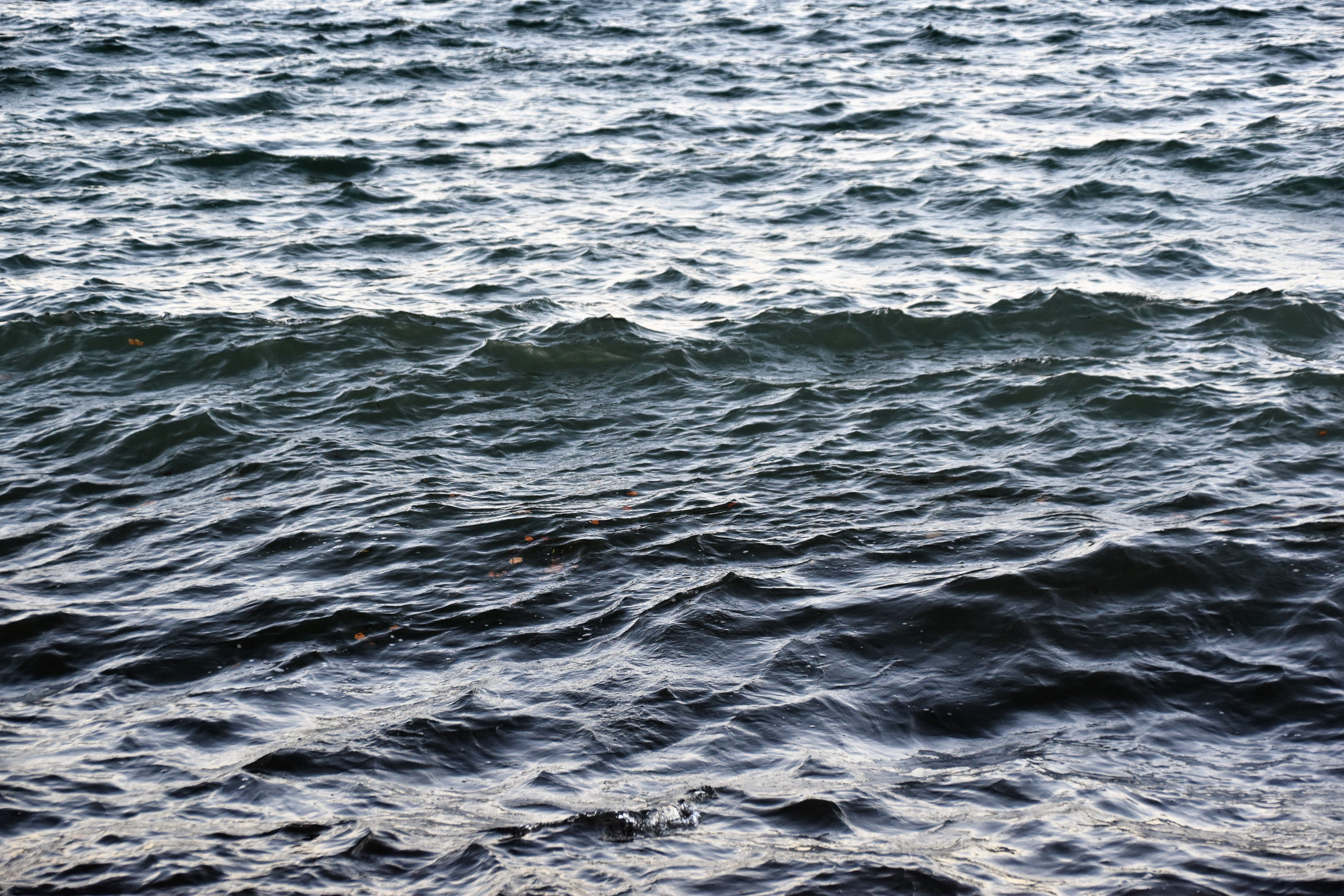 6000x4000 Hydrosphere Photo, Download The BEST Free Hydrosphere & HD Image
