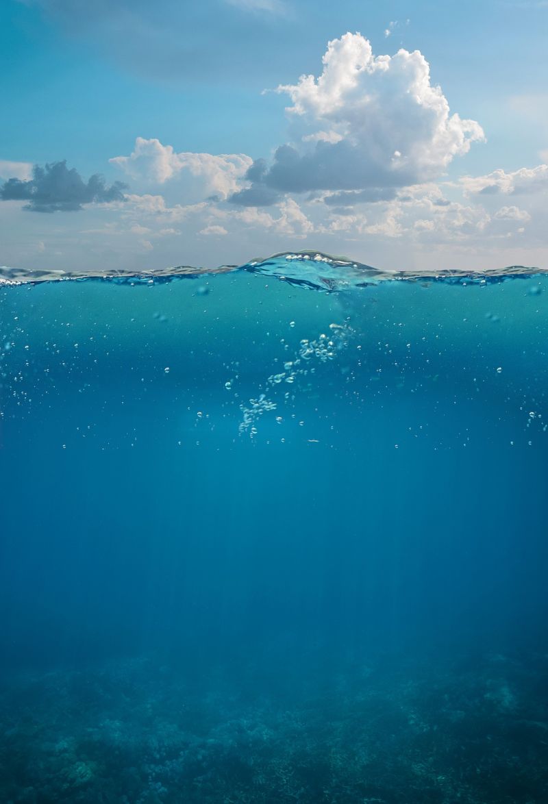 800x1174 Hydrosphere and Atmosphere: The Necessities of Life