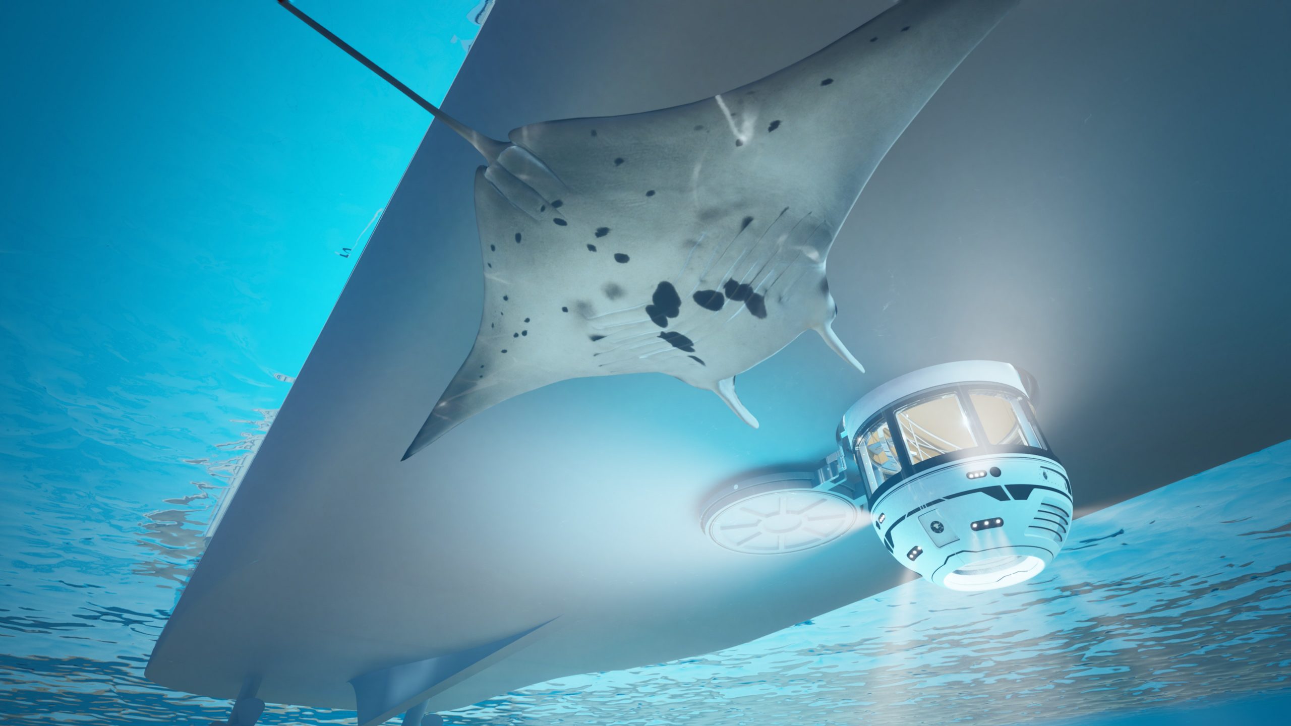 2560x1440 The Hydrosphere: A Surreal Underwater Experience