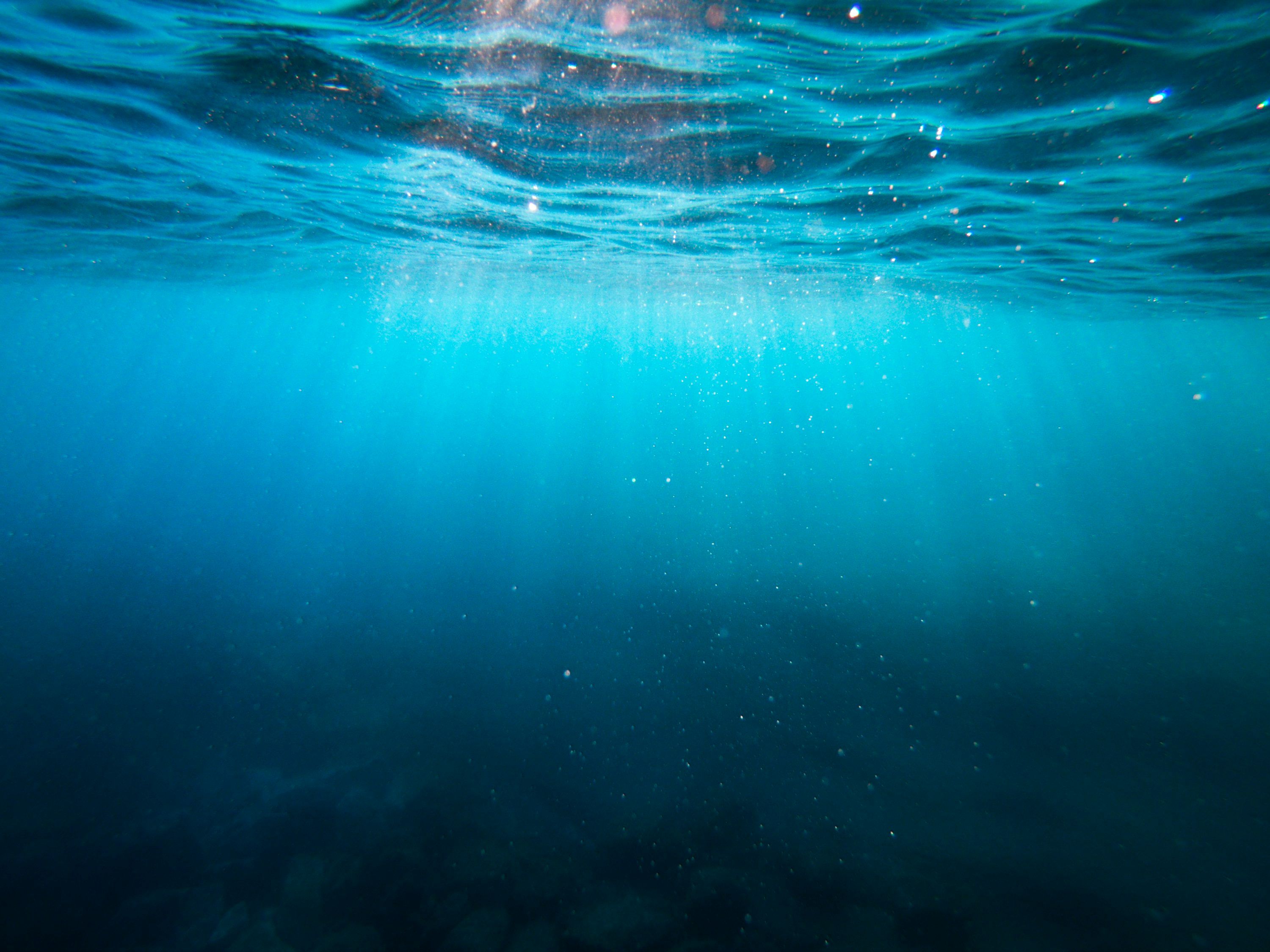 3000x2250 Water Wallpaper: Free HD Download [4K]