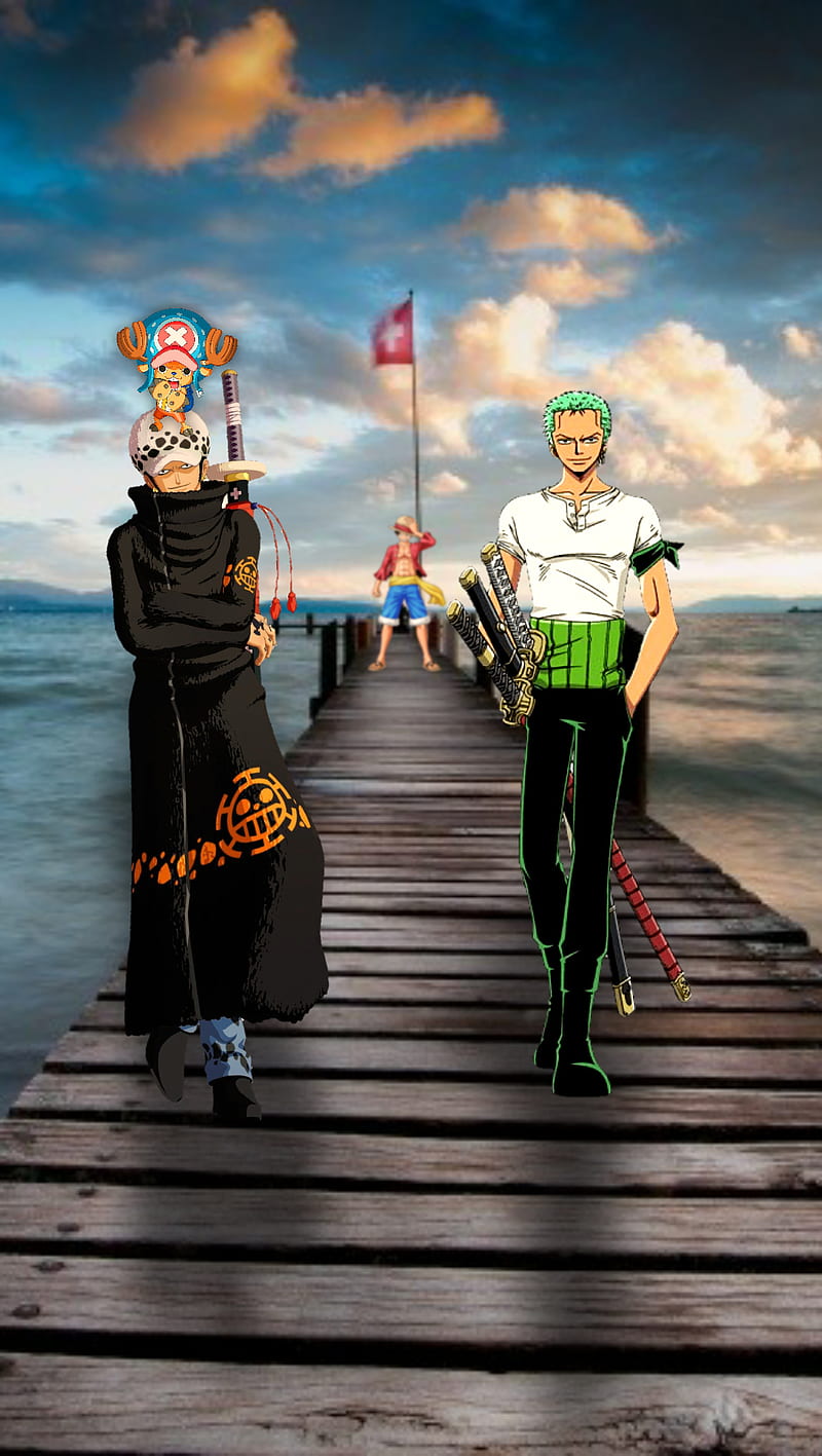 800x1417 One piece, trafalgar law et zoro, chopper et luffy, chopper, chopper et trafalgar law, HD phone wallpaper