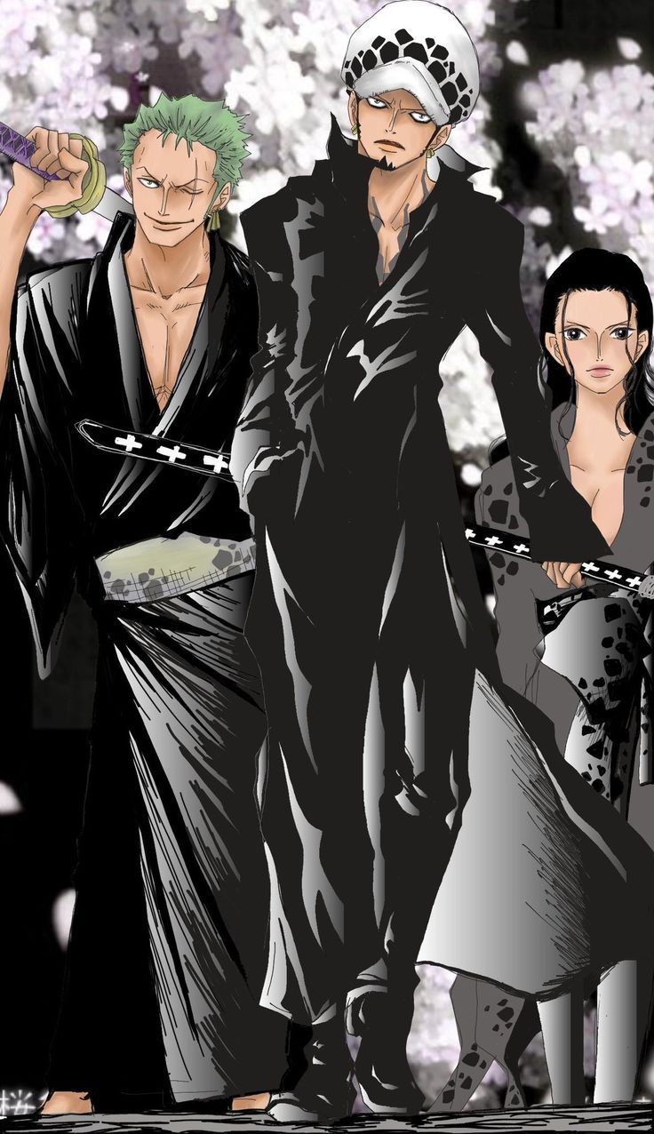 736x1276 ZoroxRobinxLaw