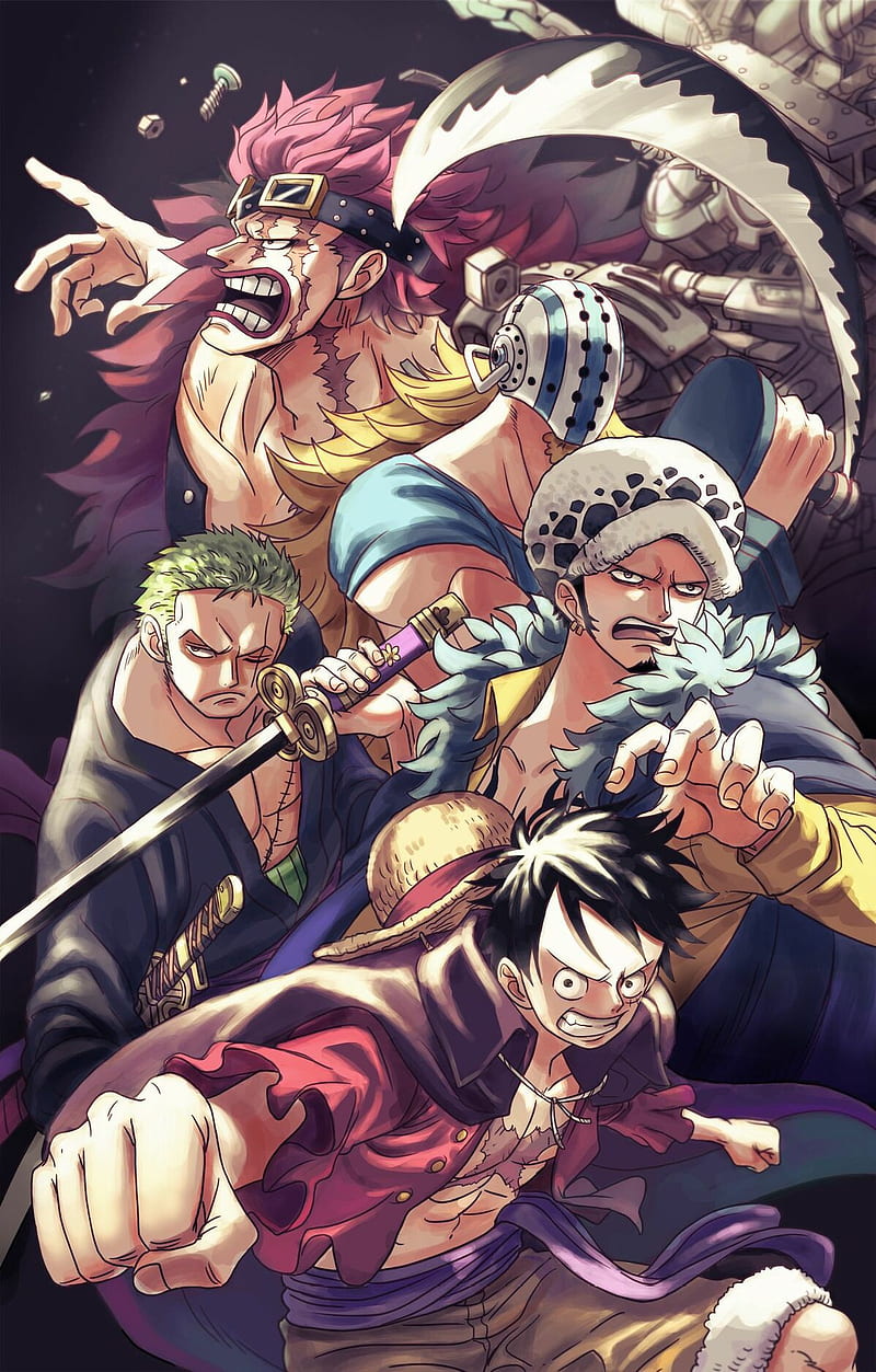 800x1253 HD one piece luffy law wallpaper