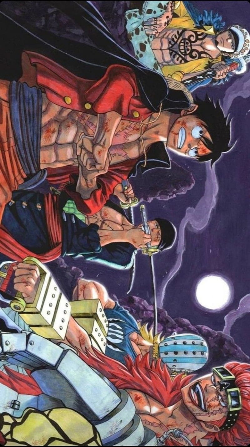 800x1428 ONE PIECE, kid, killer, luffy, zoro, HD phone wallpaper