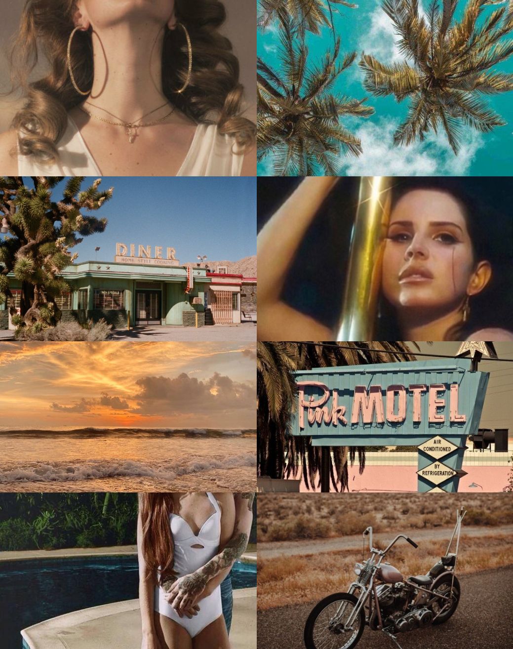1039x1314 Lana Album Aesthetics (i already uploaded this but now including Ocean Blvd)