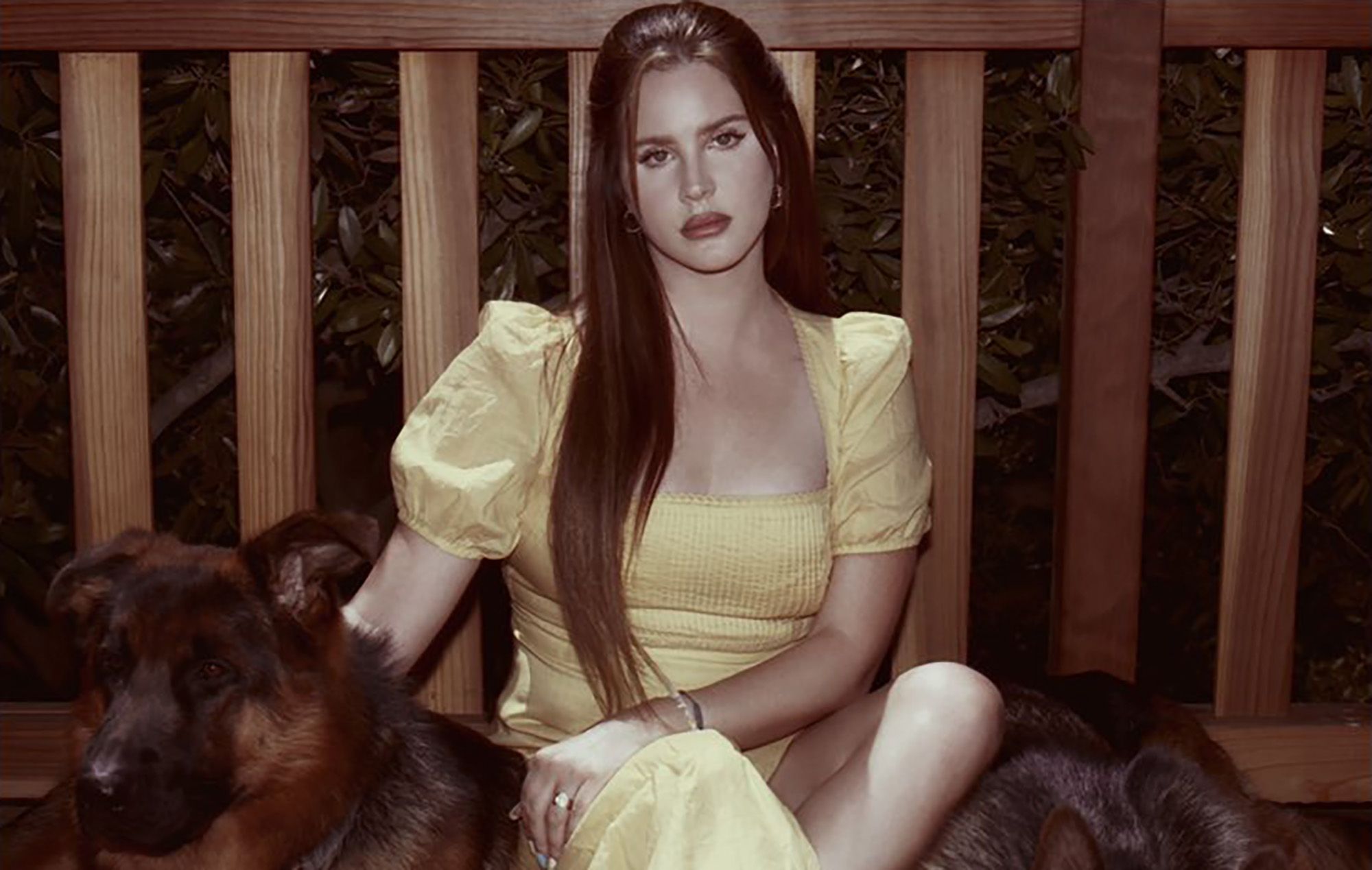 2000x1269 Dream of the World With Lana Del Rey's “Blue Banisters”. The Daily Nexus