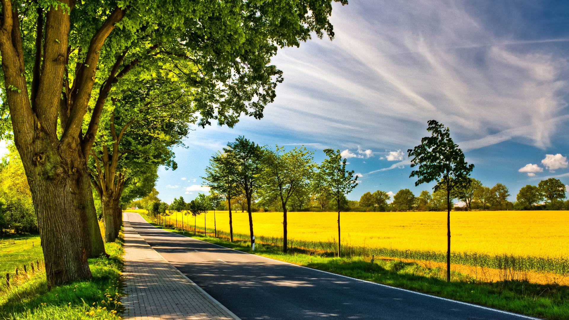 1920x1080 Sunny Day HD Wallpaper 25965