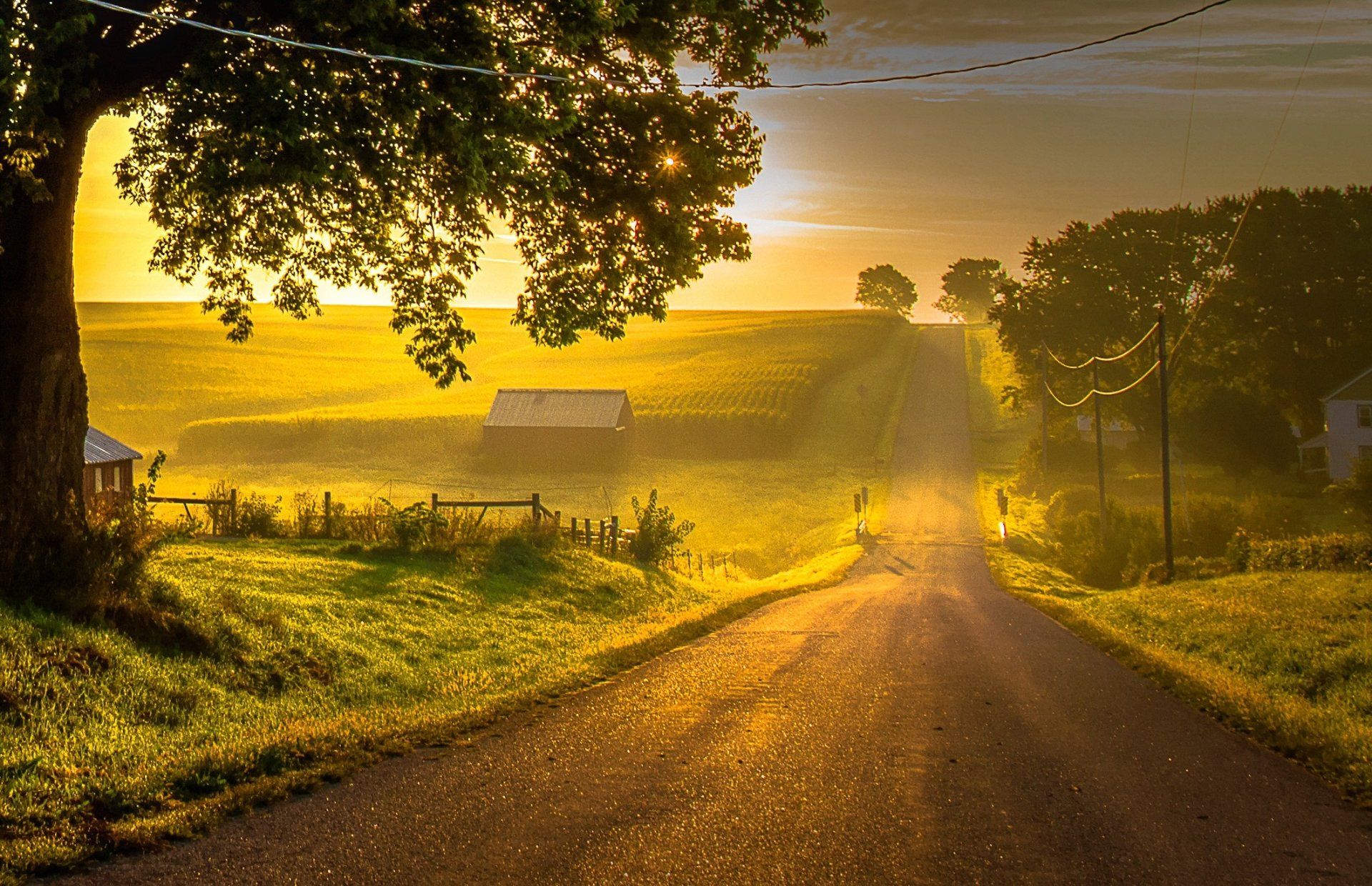 1920x1240 Download Sunny Field Landscape Man Made Road HD Wallpaperx1370