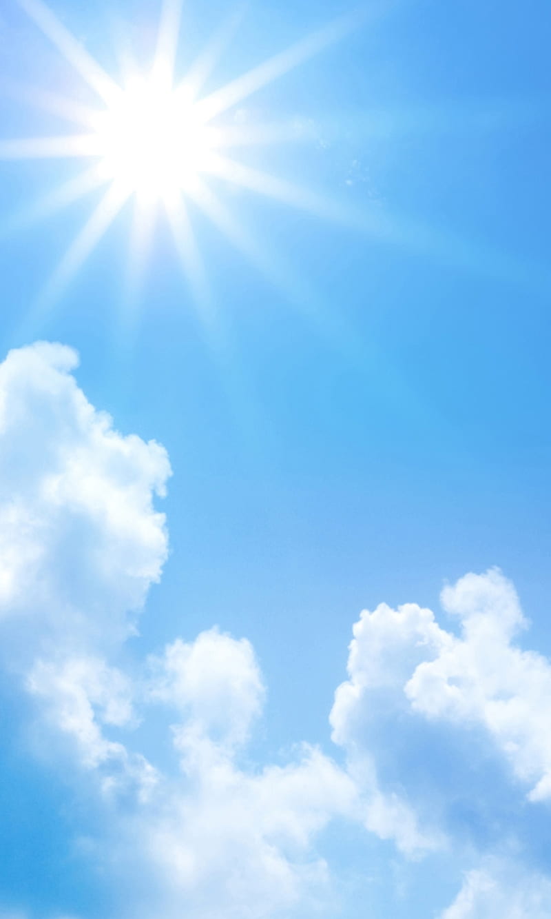 800x1333 Sunny day, bright, clouds, color, nature, new, nice, sky, sun, HD phone wallpaper