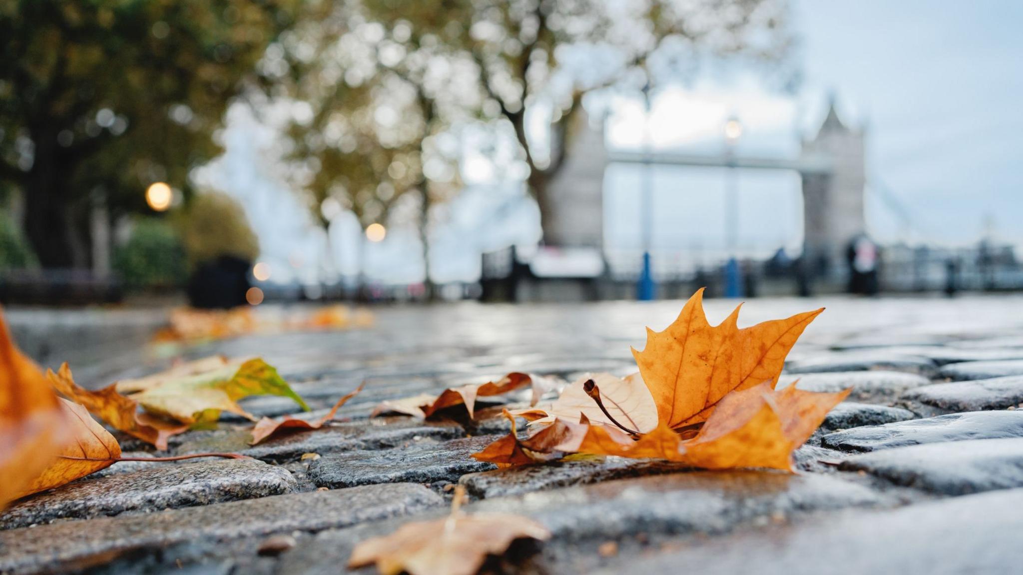 2048x1151 UK weather: Frost, wind and rain forecast as autumn warmth fades