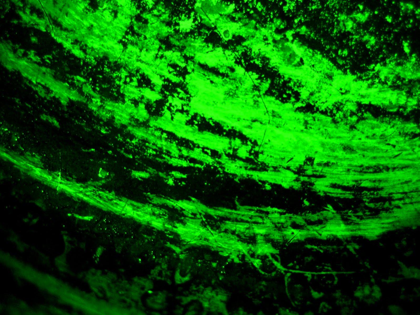 1600x1200 Green Neon Desktop Background