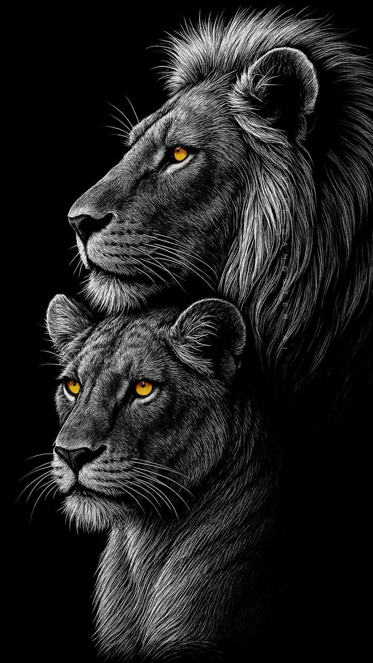 736x1308 Lion and lioness painting. Lion and lioness tattoo design, Male and female lion, Lion image