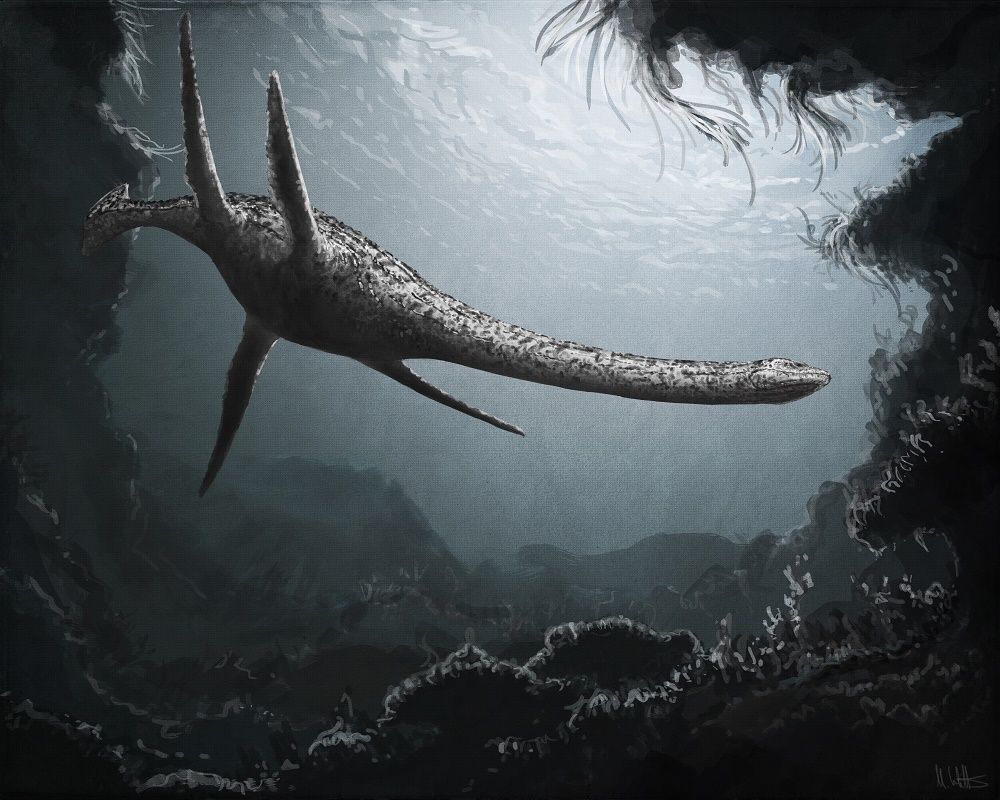 1000x800 Plesiosaur