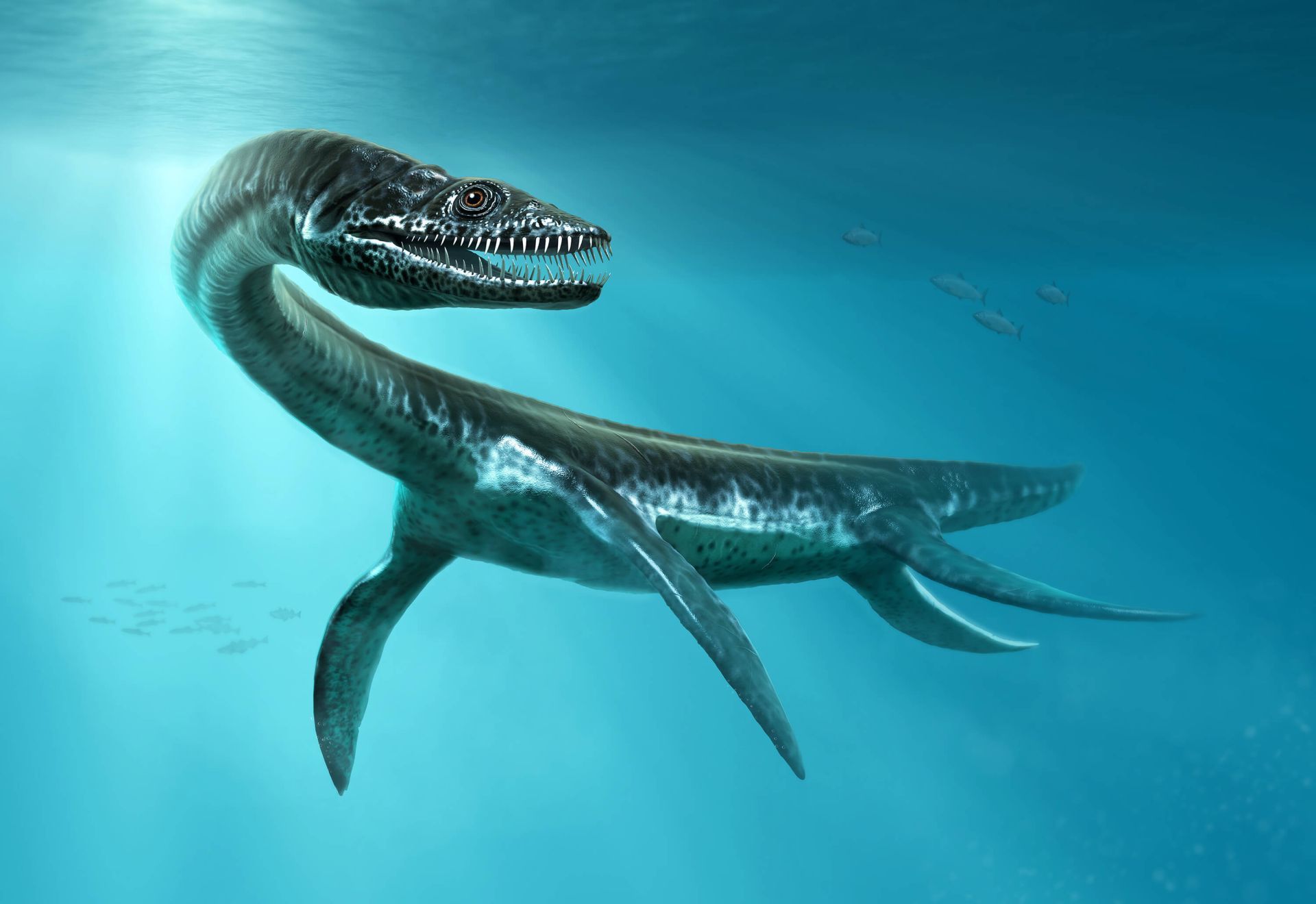 1920x1320 Dinosaur of the seas