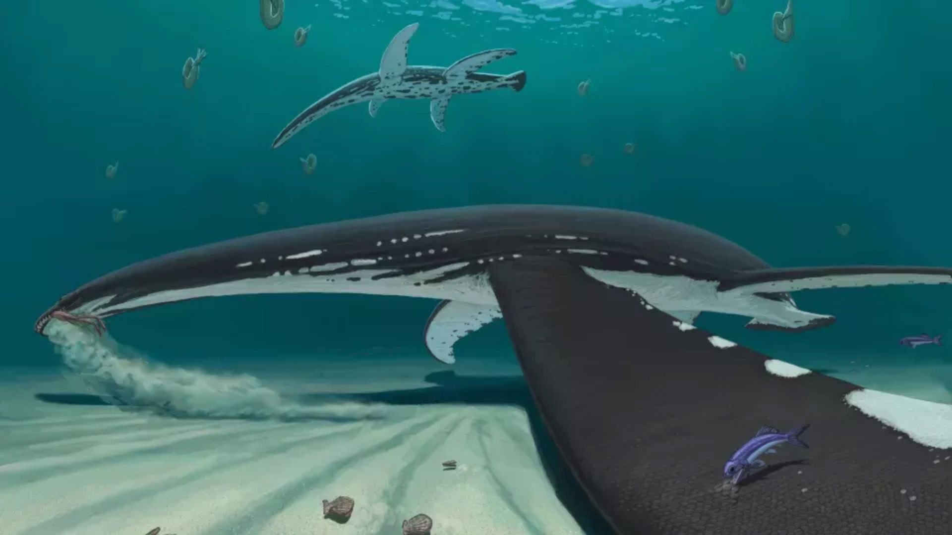 1920x1080 Some Plesiosaurs Had Smooth Skin on Their Body and Scales on Their Flippers