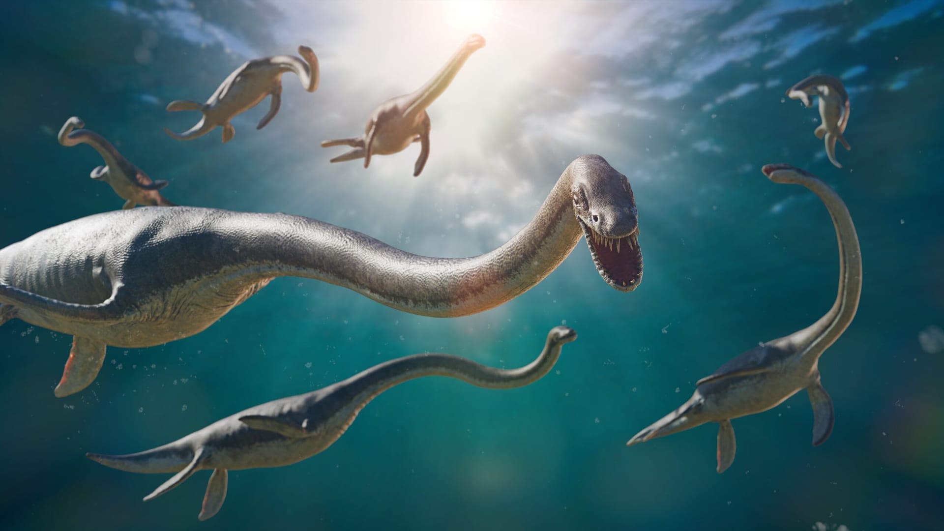 1920x1080 Plesiosaur fossils are the first evidence of Jurassic vertebrates in Texas