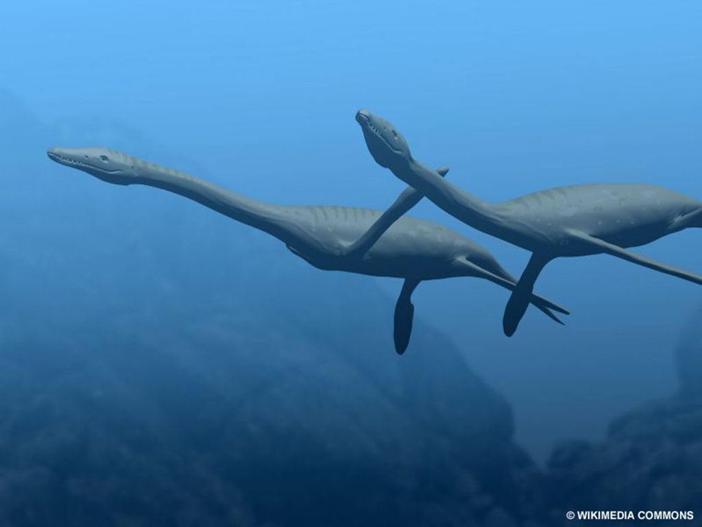 1024x768 Plesiosaurus