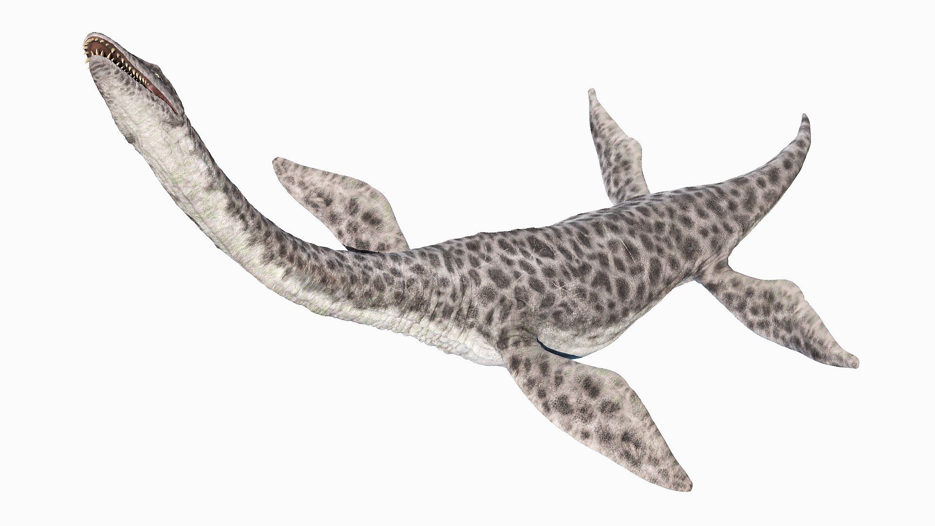 1920x1080 Plesiosaurus 3D