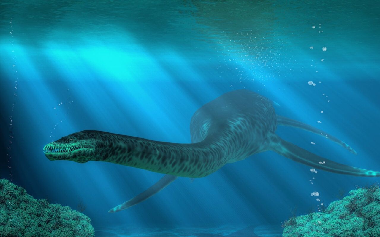 1280x800 Plesiosaurs had super long necks to prevent swimming drag