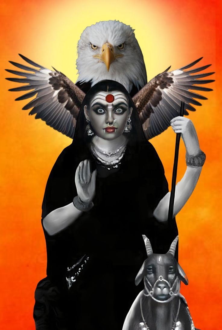 736x1095 Mahoni Maa