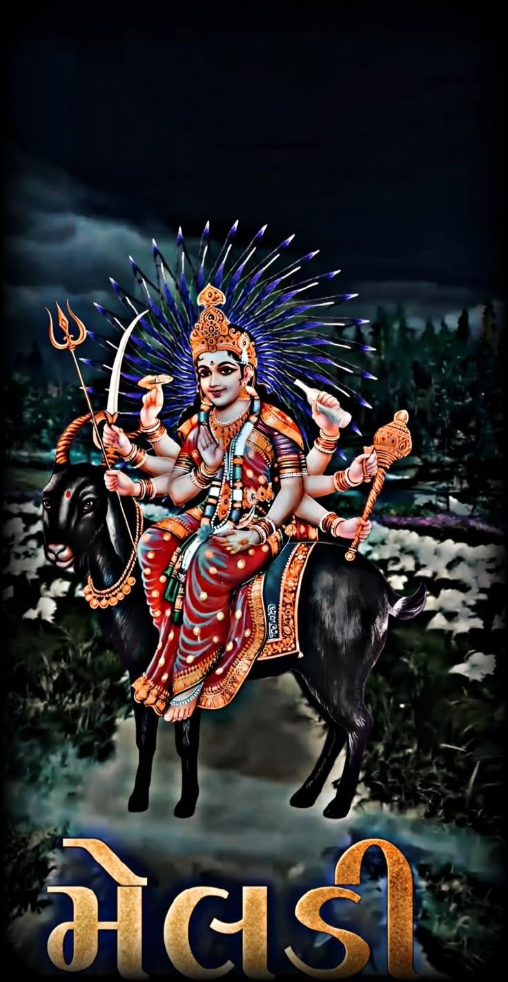 736x1421 Wallpaper photo gallery ideas. wallpaper photo gallery, meldi ma HD photo, doodle on photo
