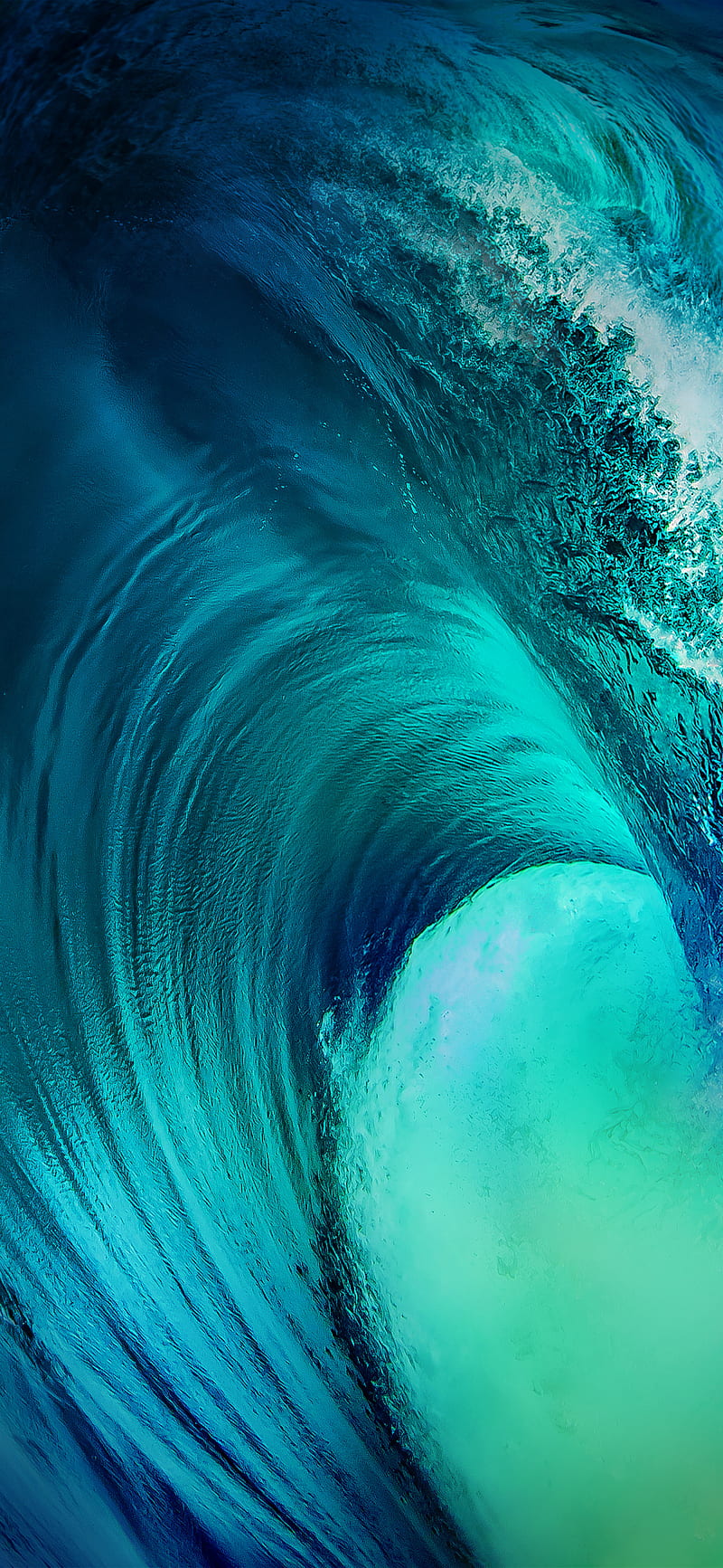 800x1733 Vivo X wave, HD phone wallpaper