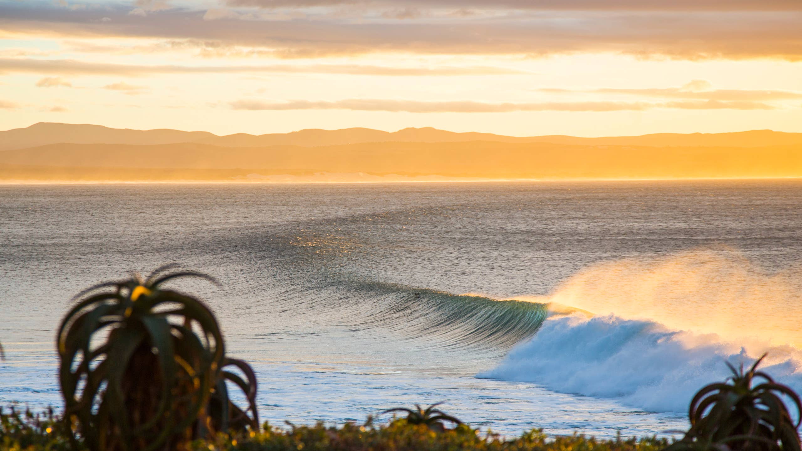 2560x1440 Snapper Rocks, Jeffreys Bay, & The Championship Tour in 2025