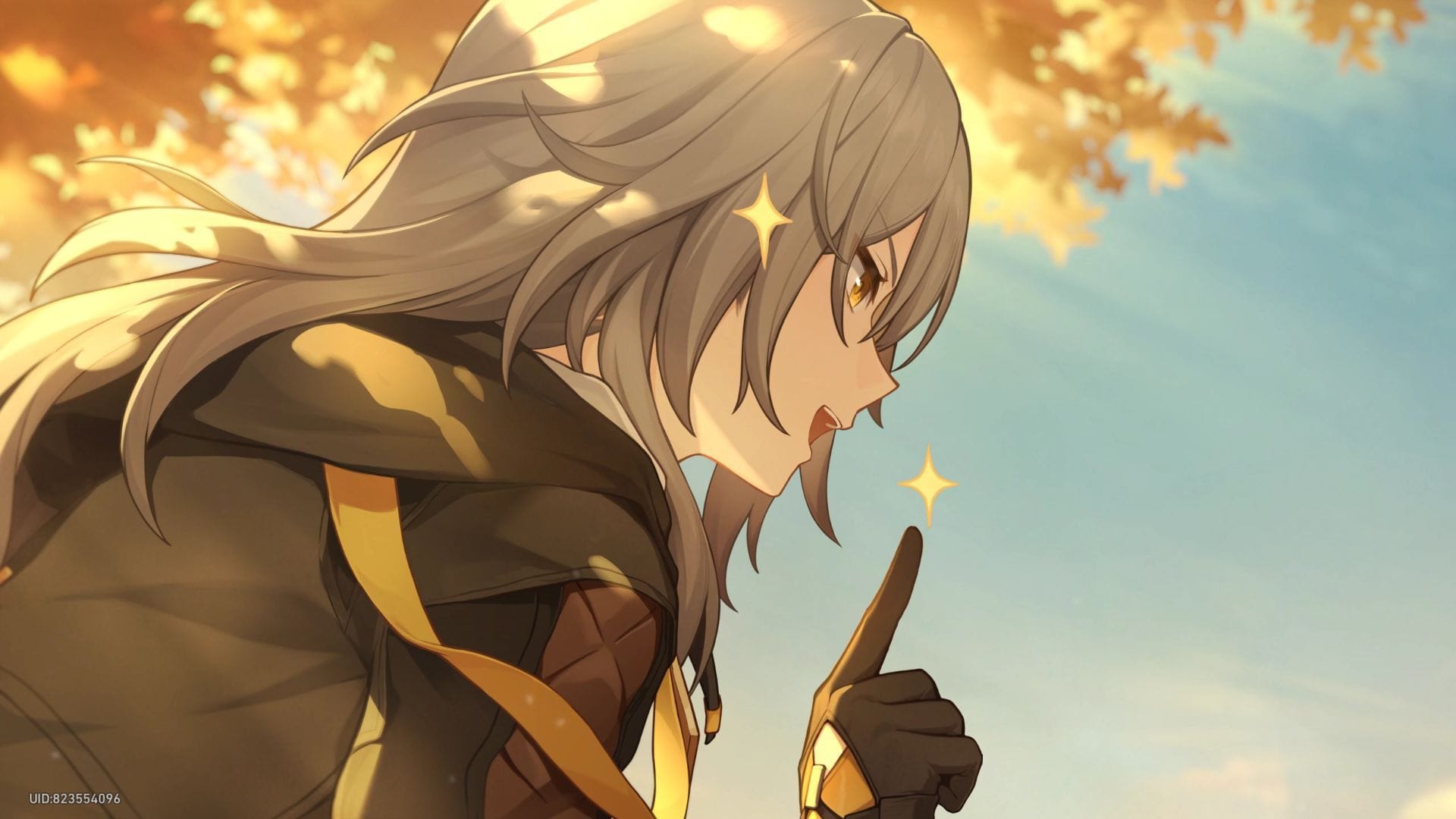 1920x1080 Honkai Star Rail: Yao Guang voice lines about other characters
