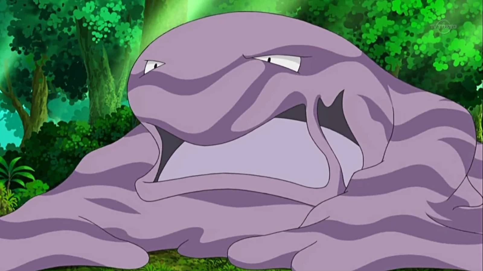 1600x900 Trash Pokémon deserve love, too