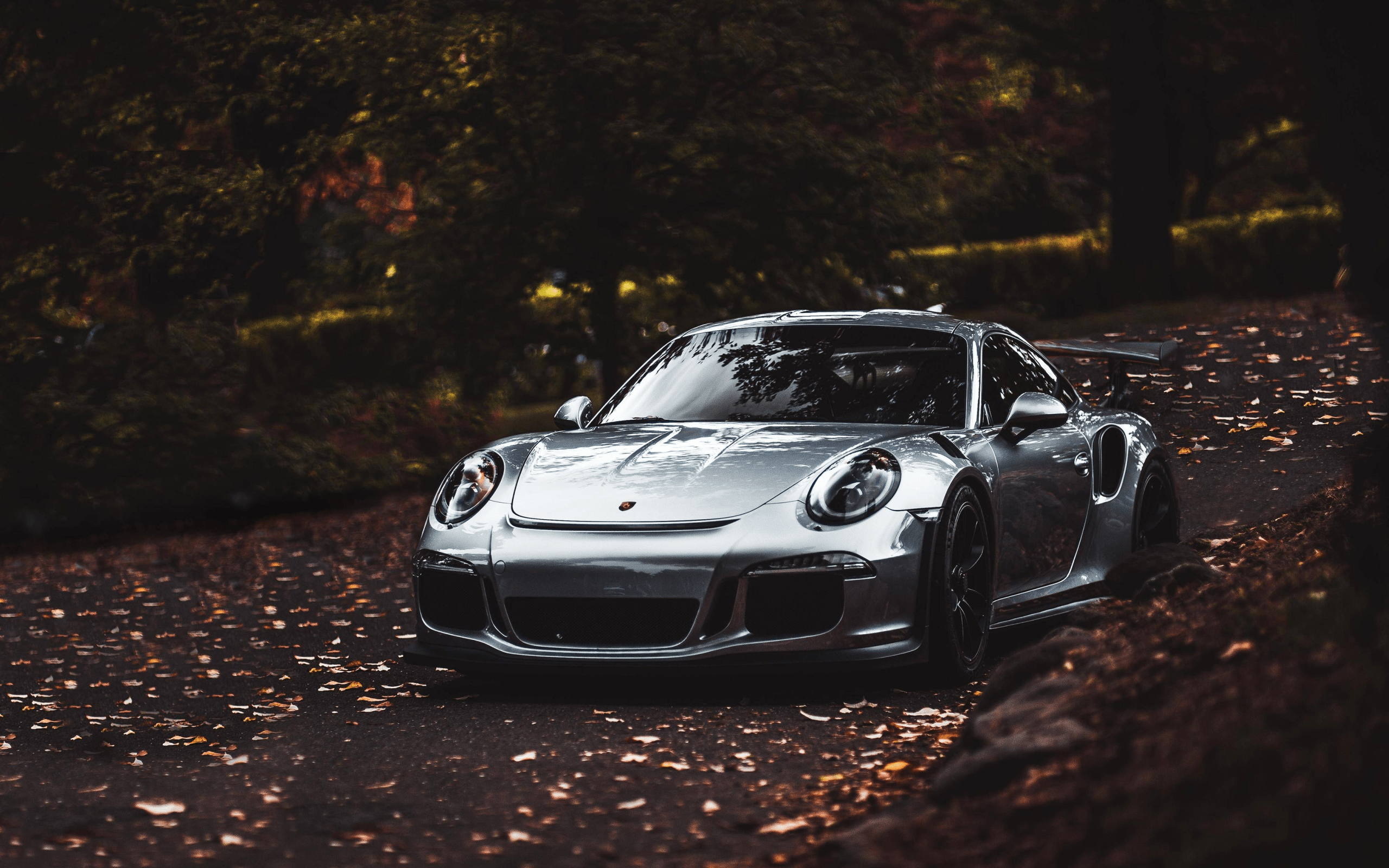 2560x1600 Silver Car Porsche 911 Carrera S Desktop wallpaper 2560x1600